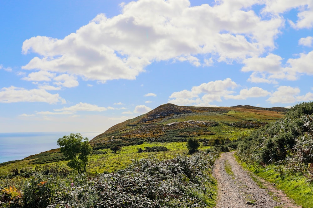 a dirt road leading up to a hill with trees and blue sky