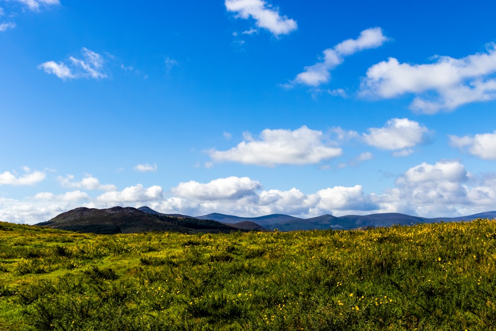 a grassy field with mountains in the background