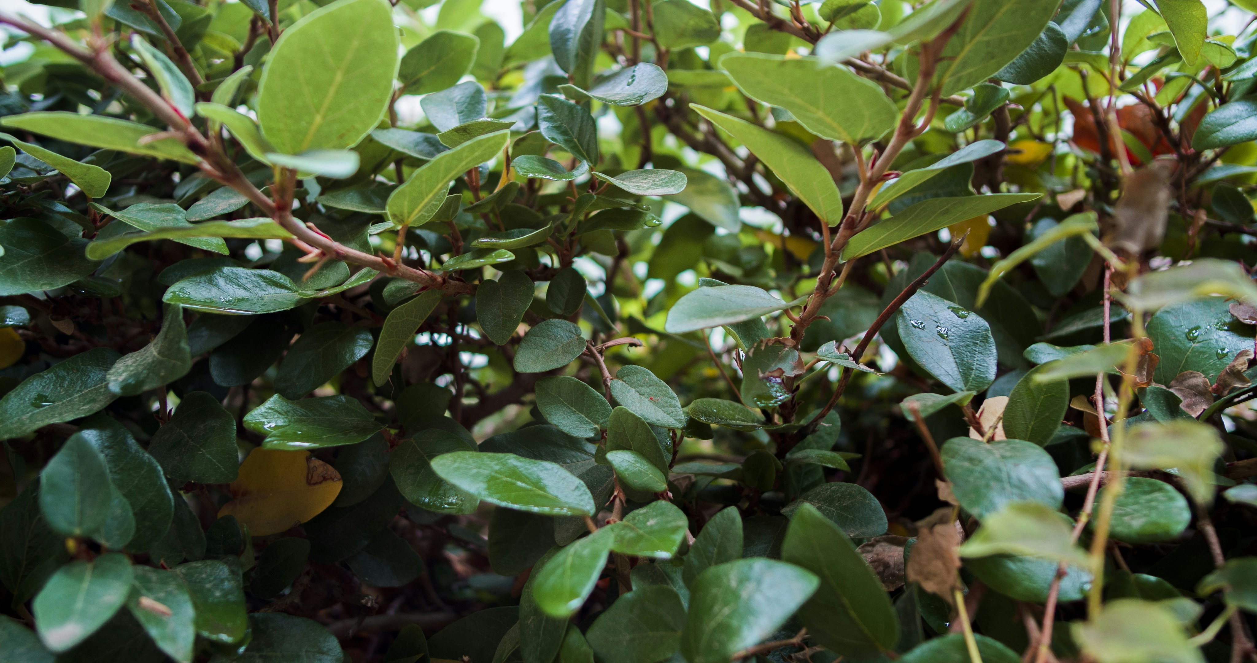 Photo by _nickwright_