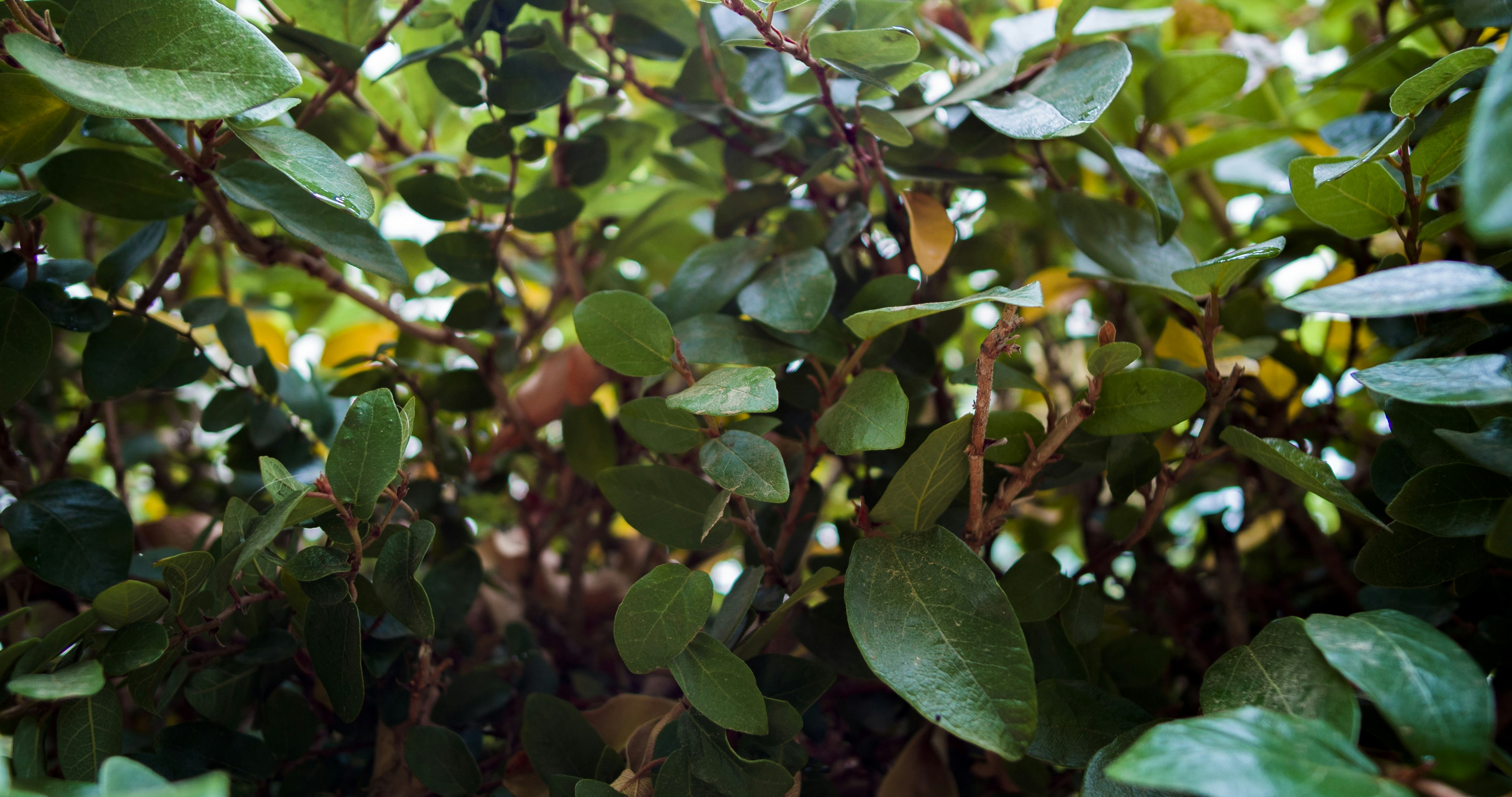 Photo by _nickwright_