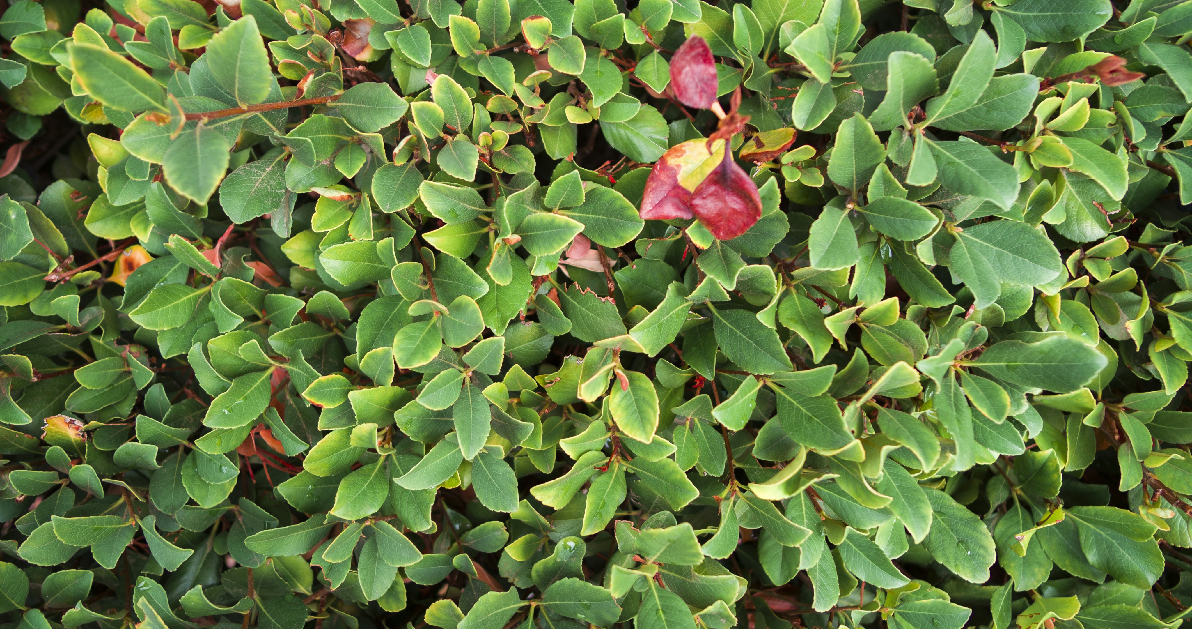 Photo by _nickwright_