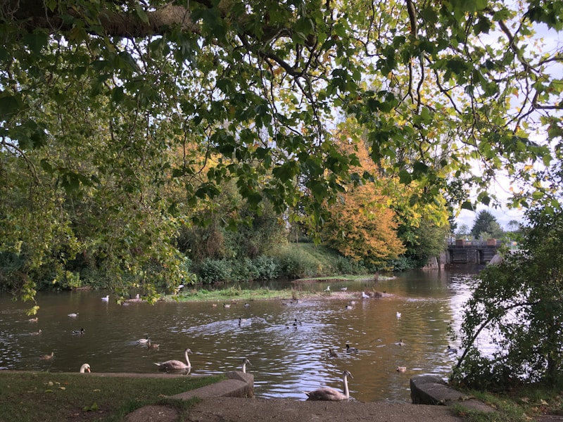 Photo of The Kings Arms