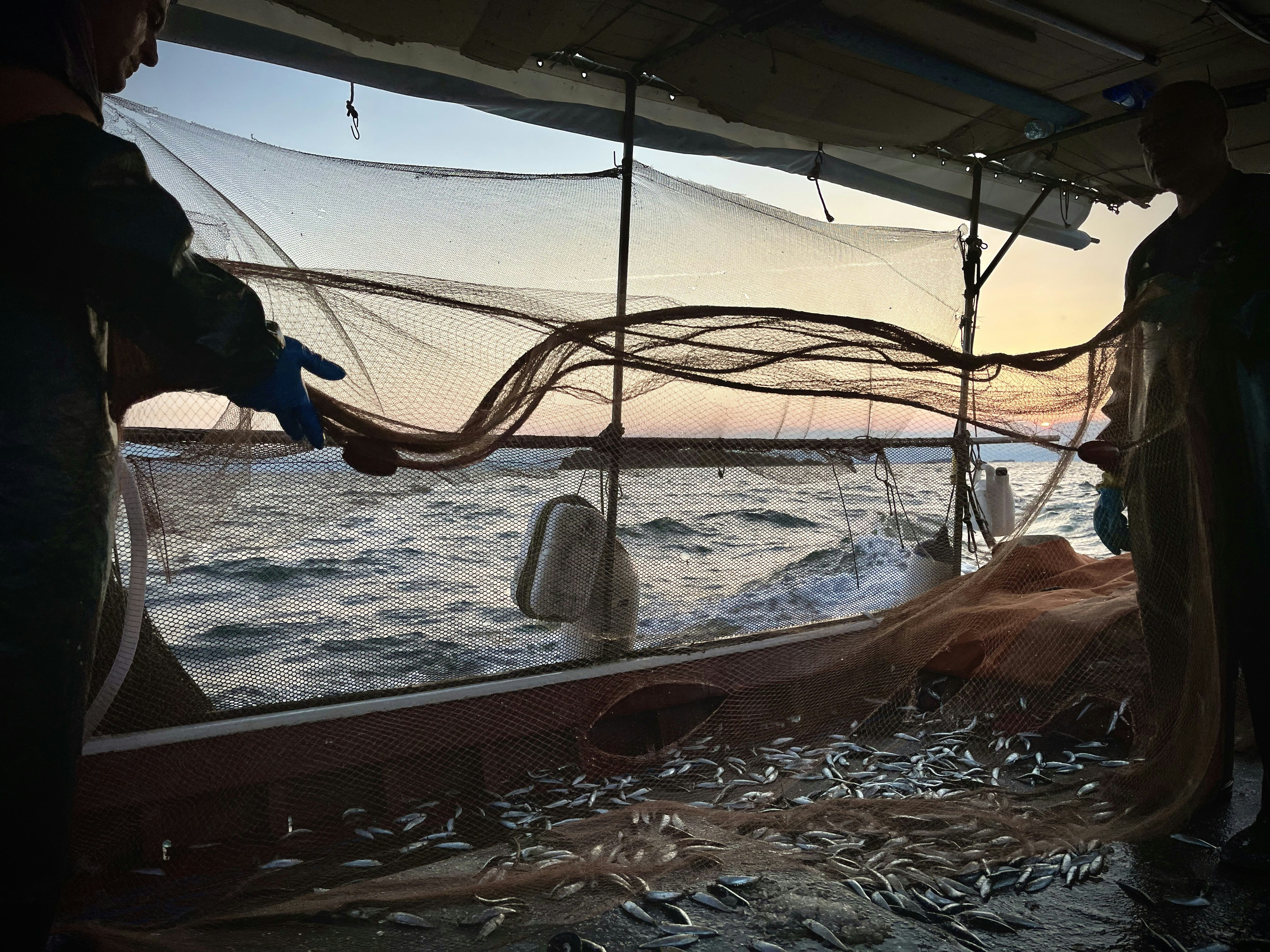 Fishing Frenzy Deluxe