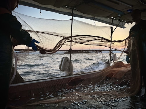 The image displays a fishing scene at sea, with two individuals handling a net filled with a substantial catch of fish. The net is spread out, visibly stretched between the people as the backdrop of the open ocean and a subtle sunset creates a contrasting silhouette.