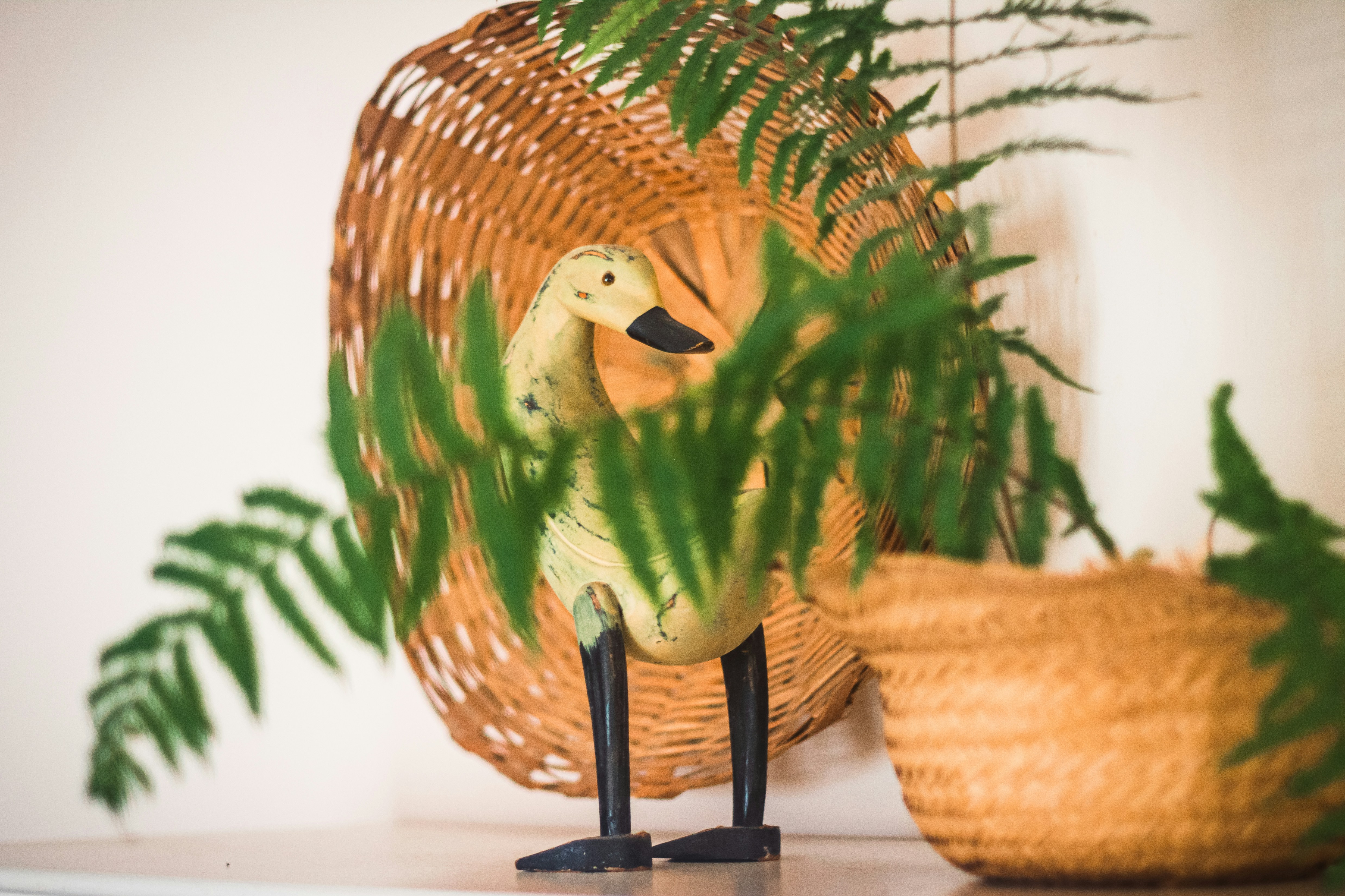 a bird on a plant