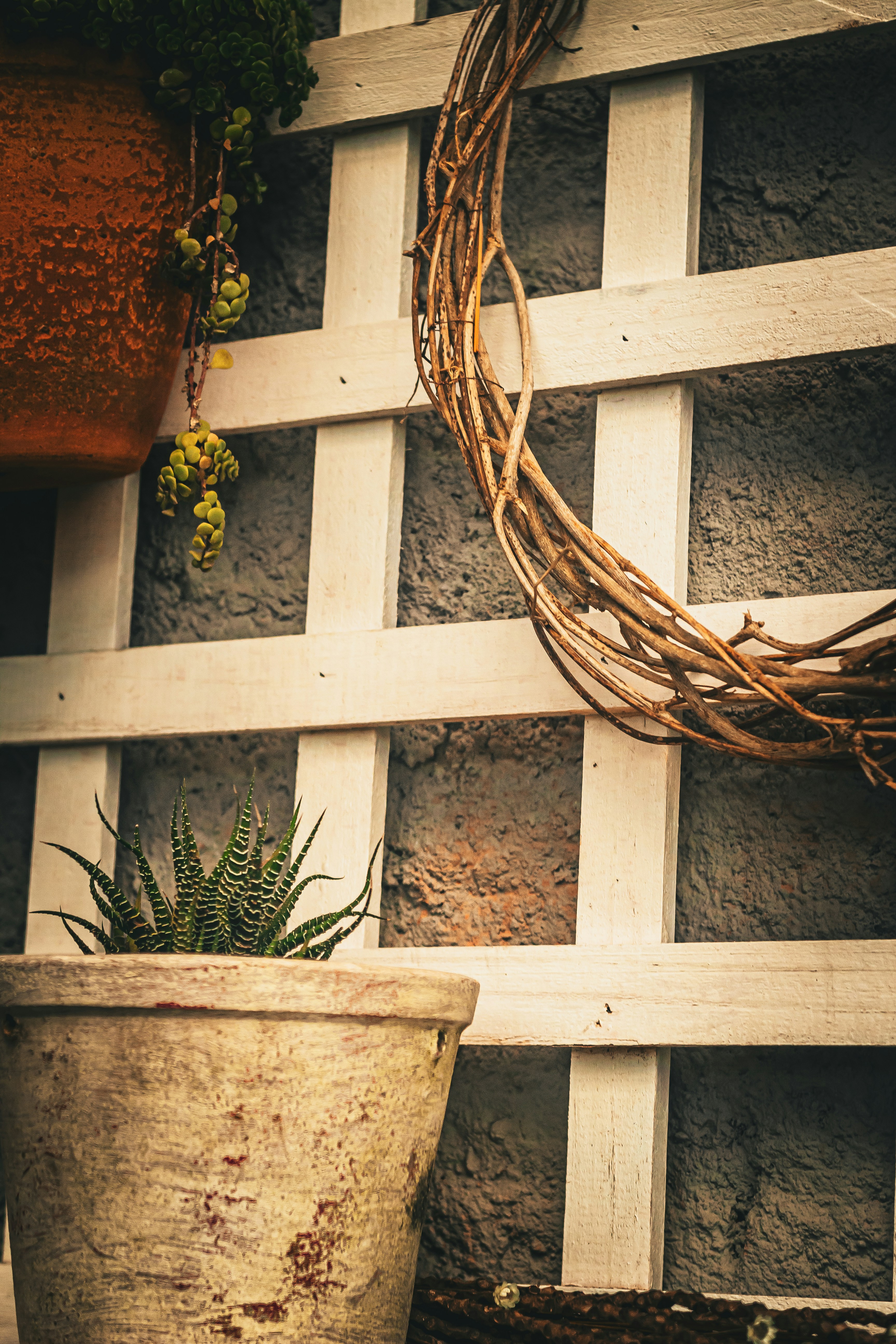 a planter with a plant in it