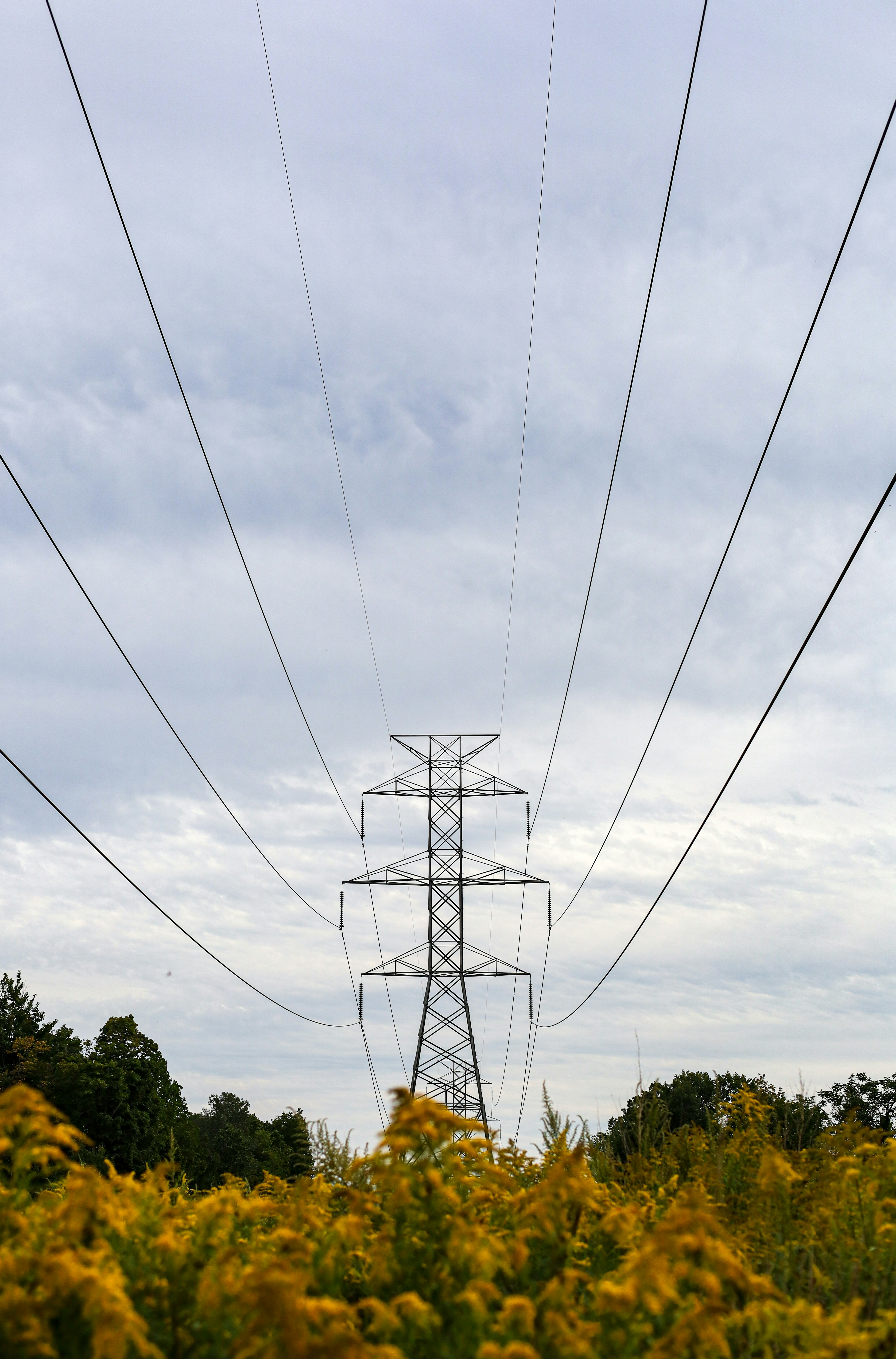 電力線タワー