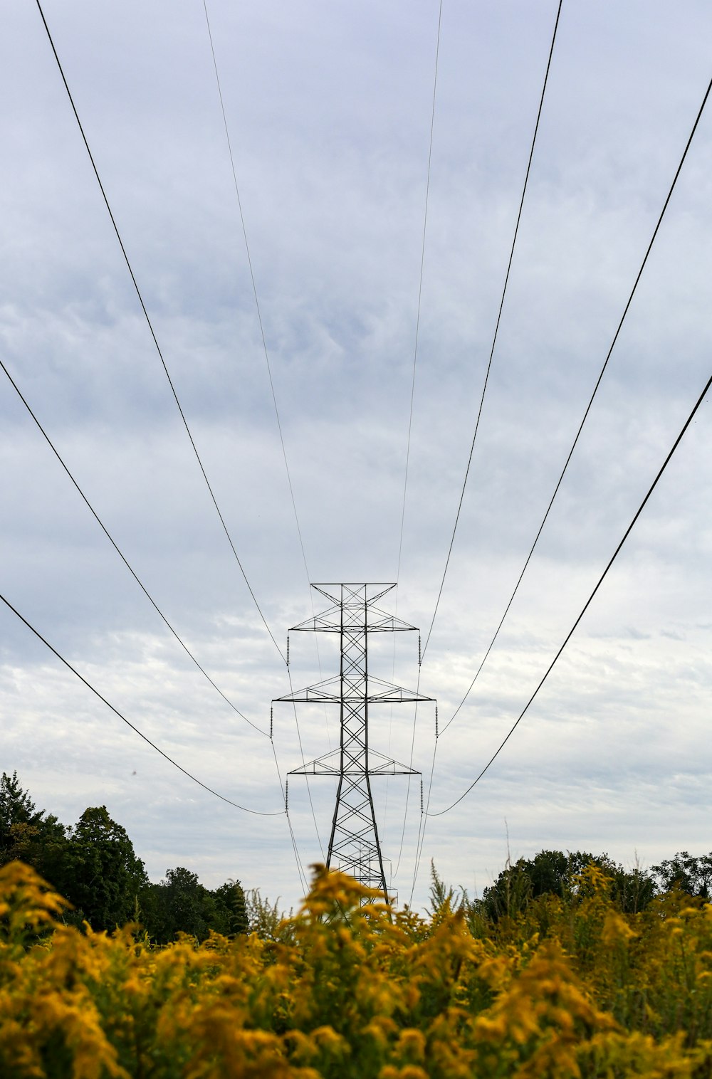 a power line tower