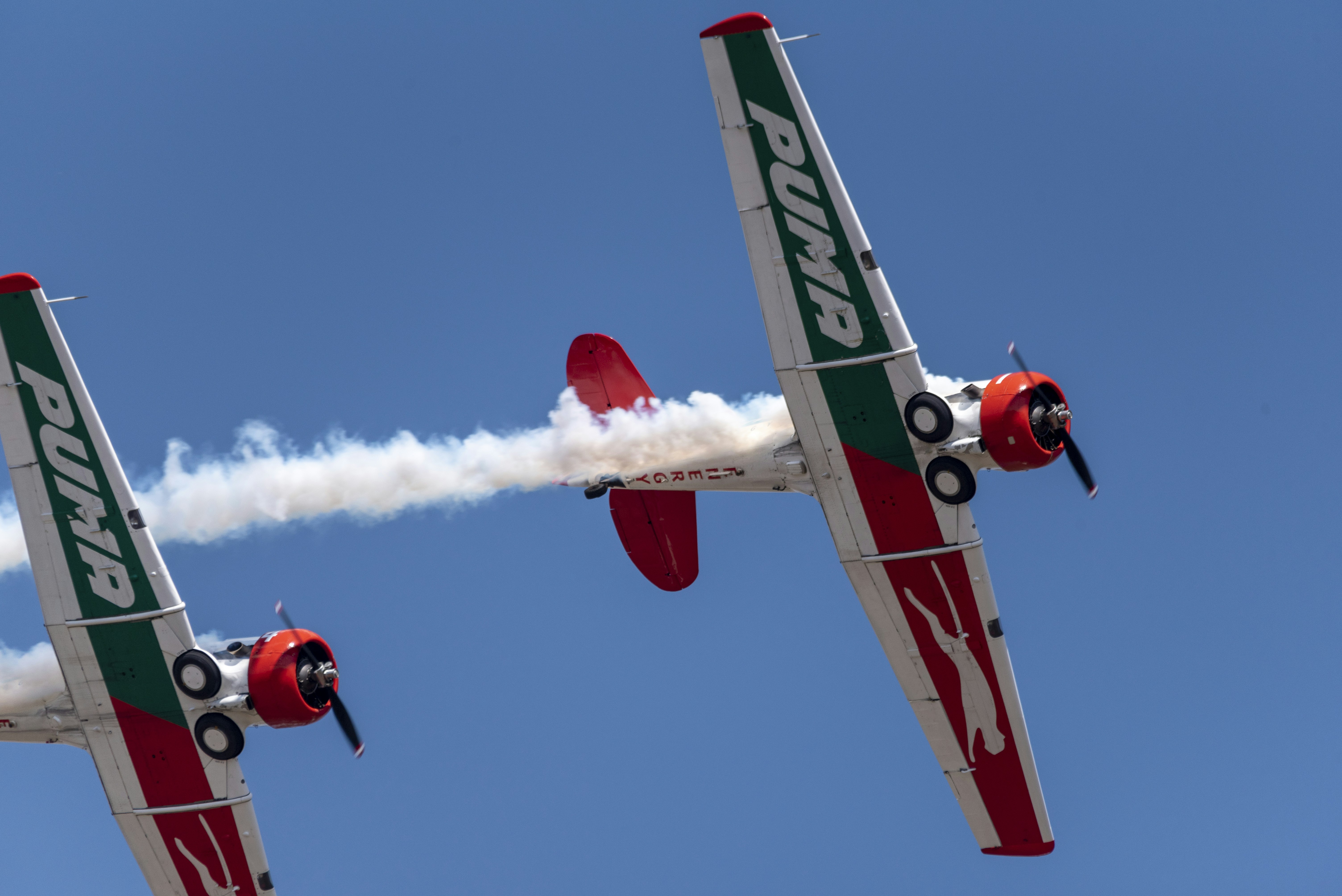 Photo by stewardesign