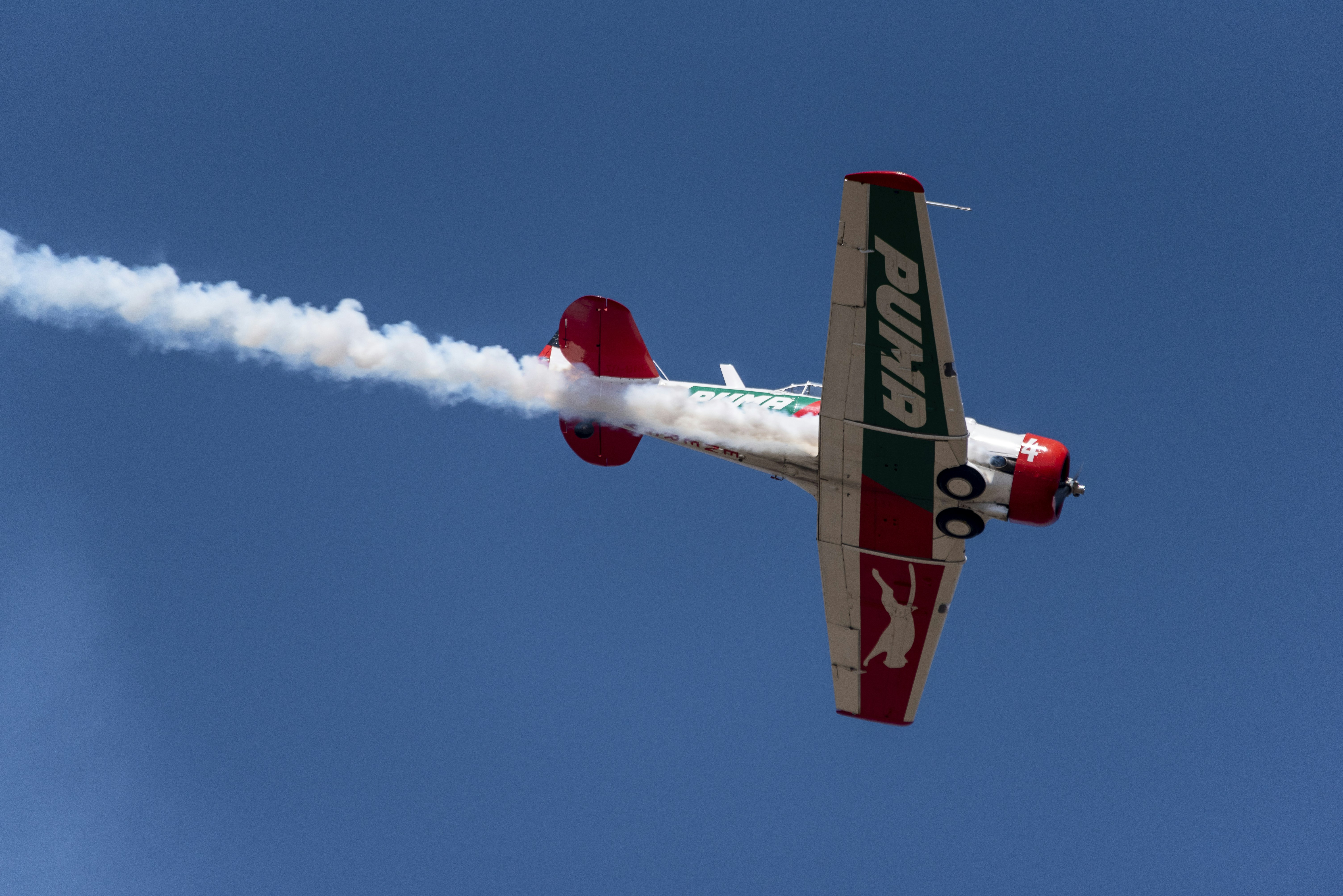 Photo by stewardesign