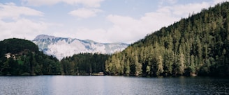 A tranquil lake surrounded by lush greenery and mountains in the background.