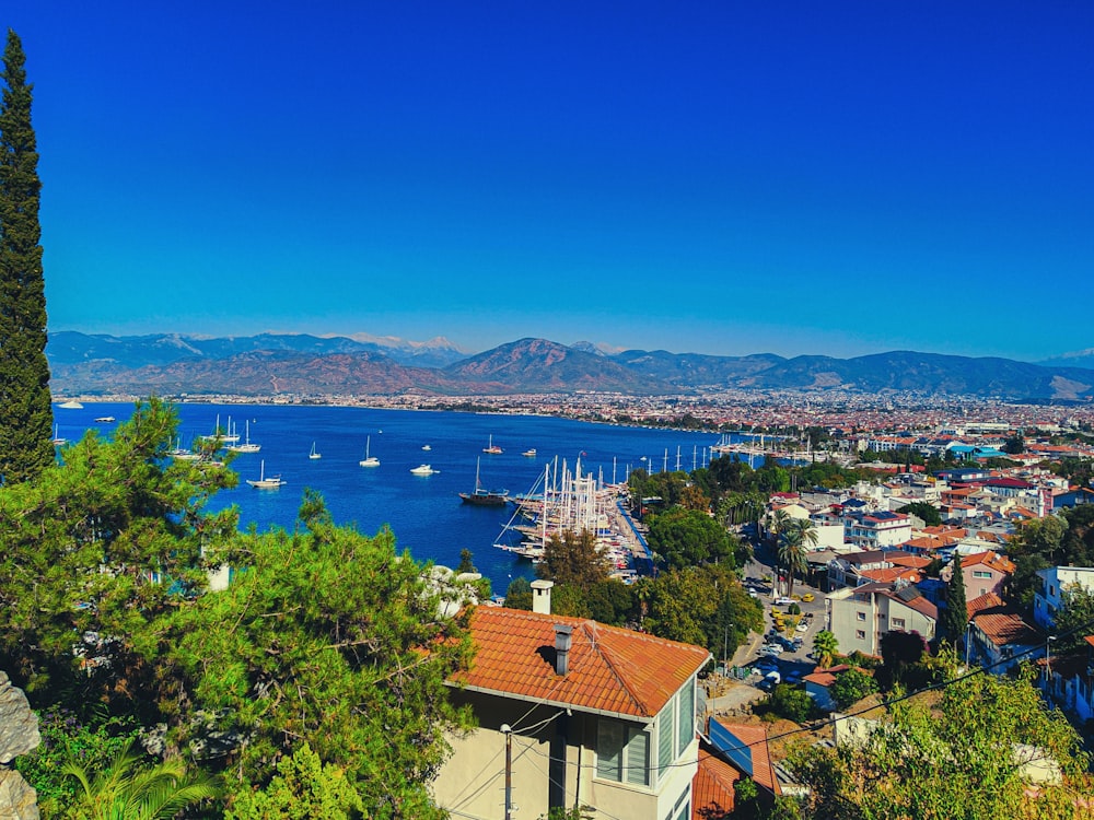 a city with a body of water in the background