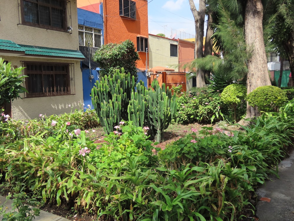 a garden in front of a building