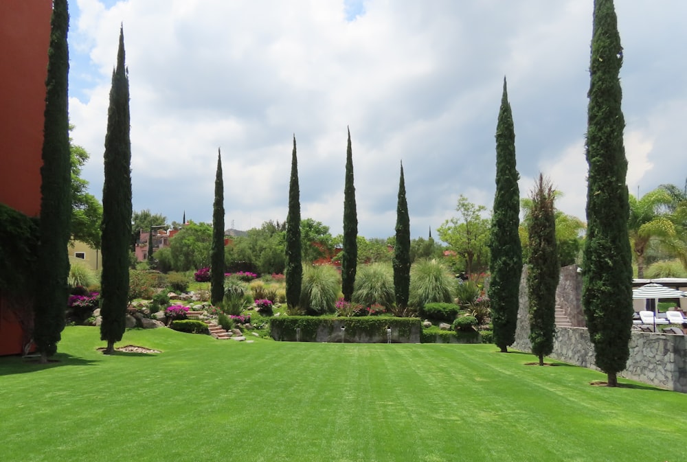 a green lawn with trees and bushes