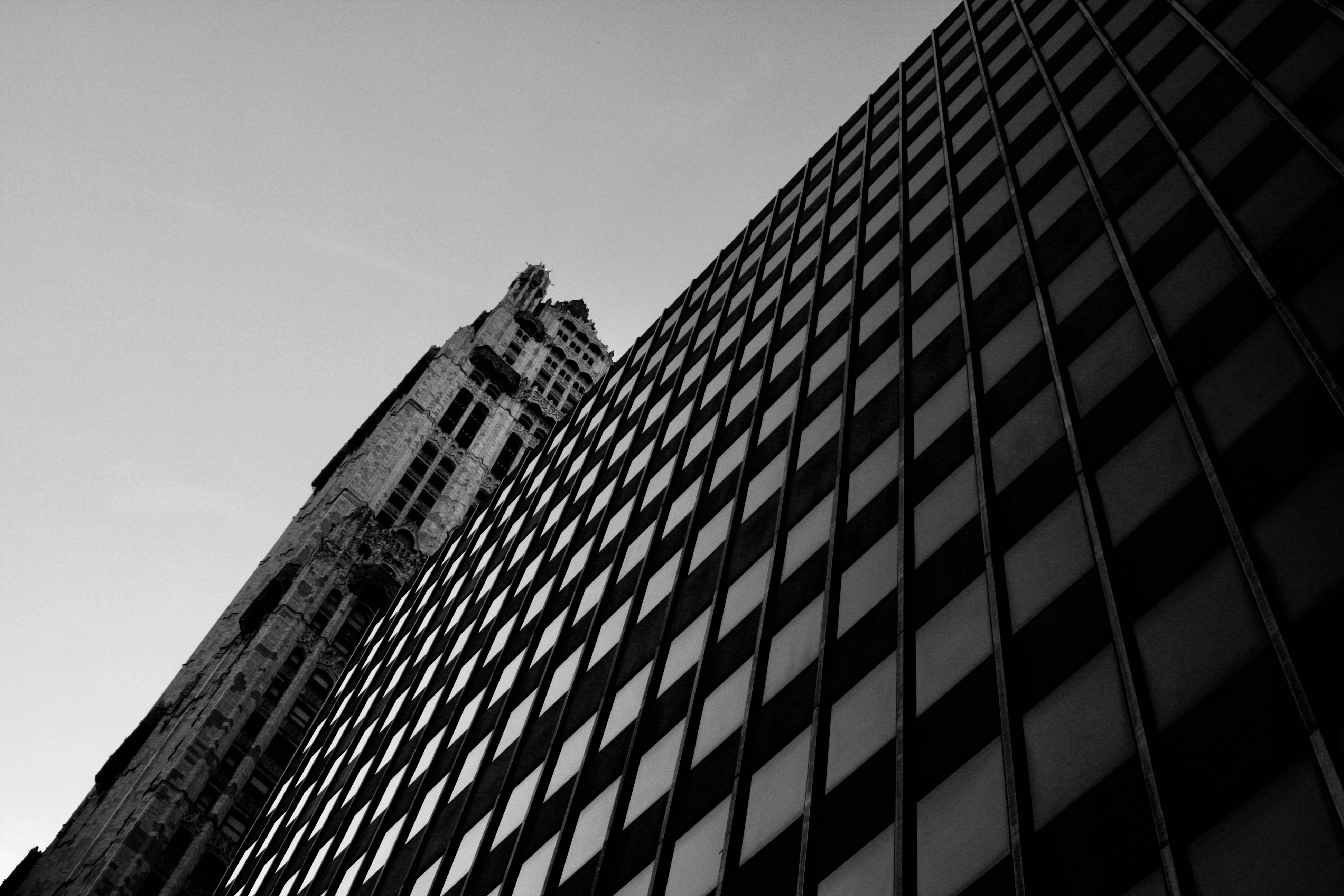 Photo by lifelivedinmono