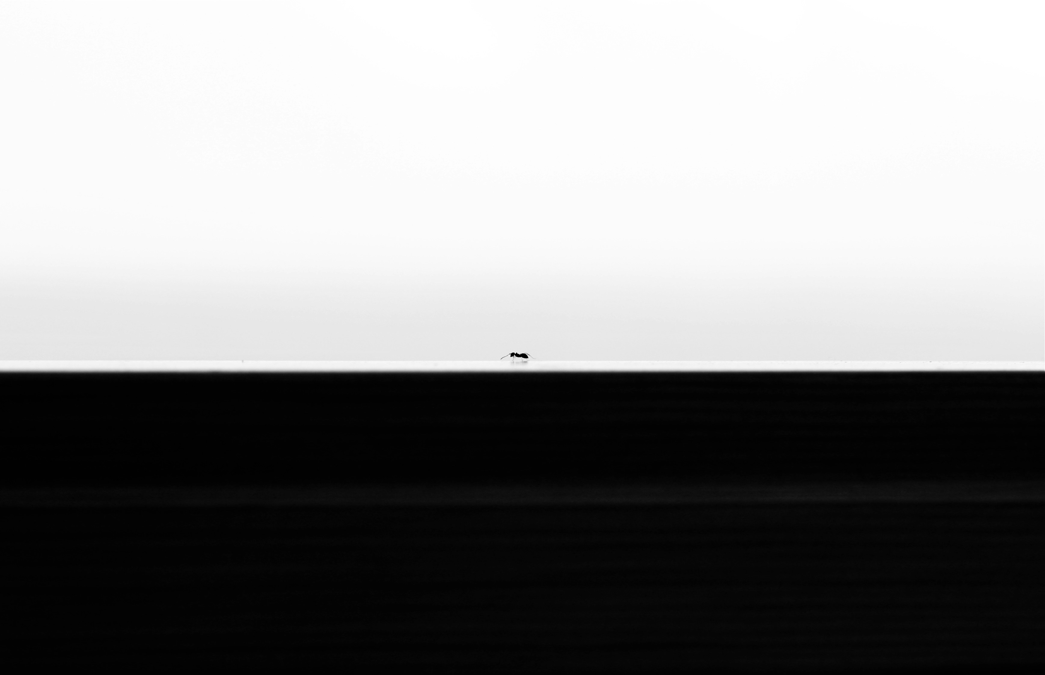 Photo by lifelivedinmono