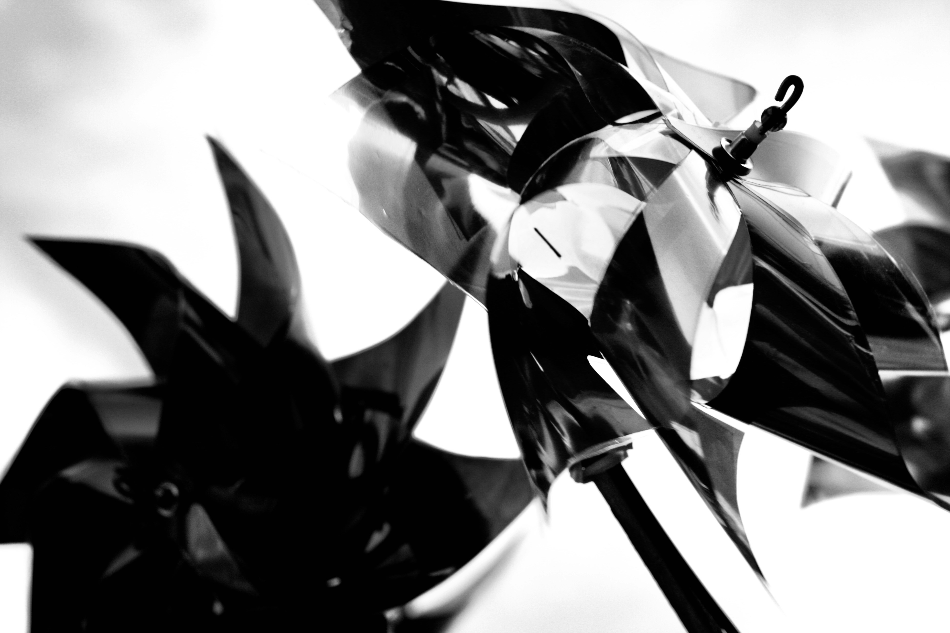 Photo by lifelivedinmono