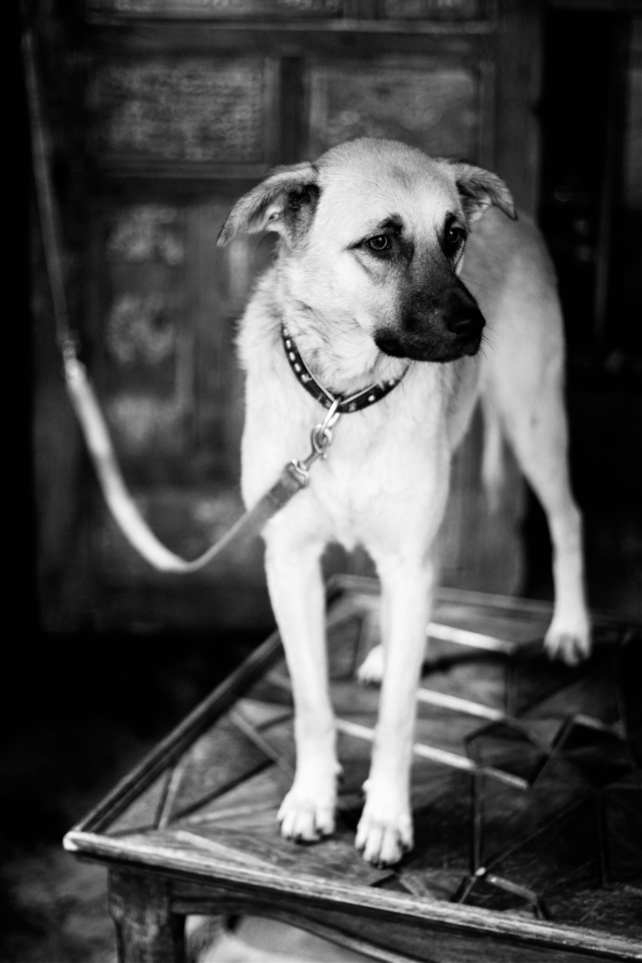 Photo by lifelivedinmono