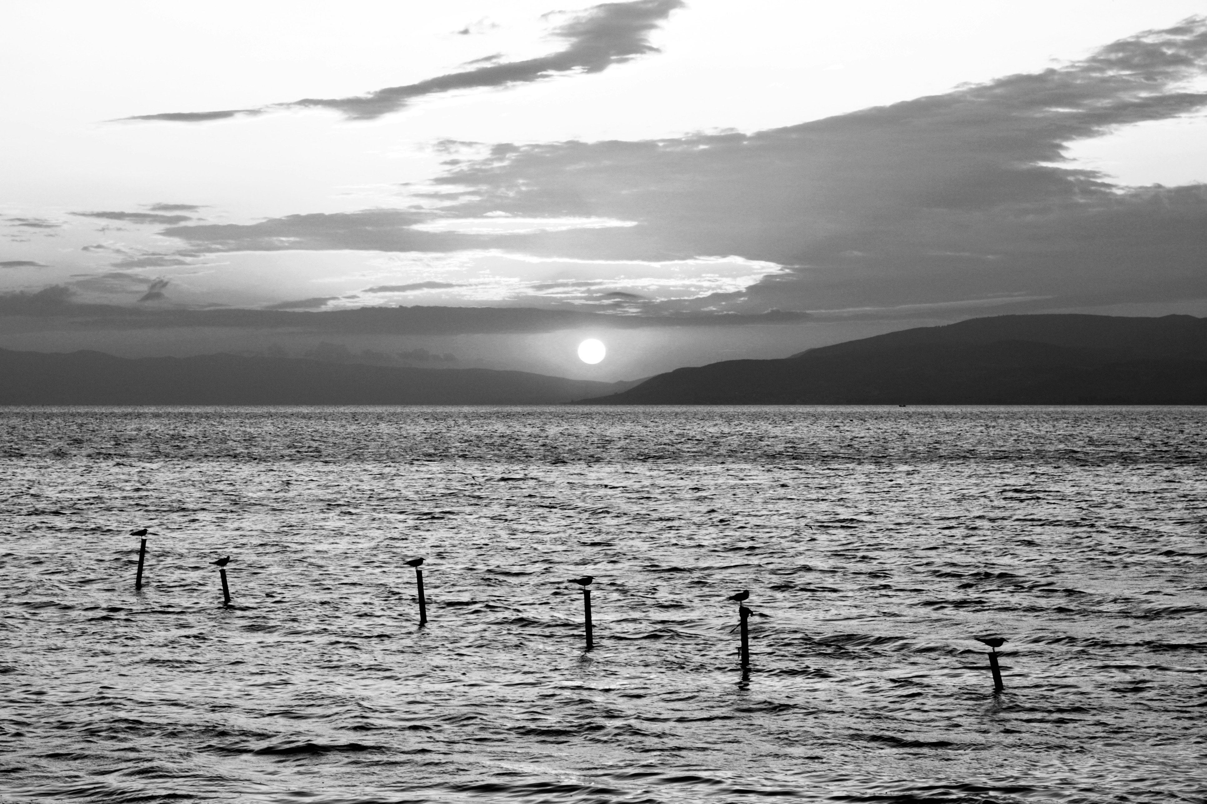 Photo by lifelivedinmono