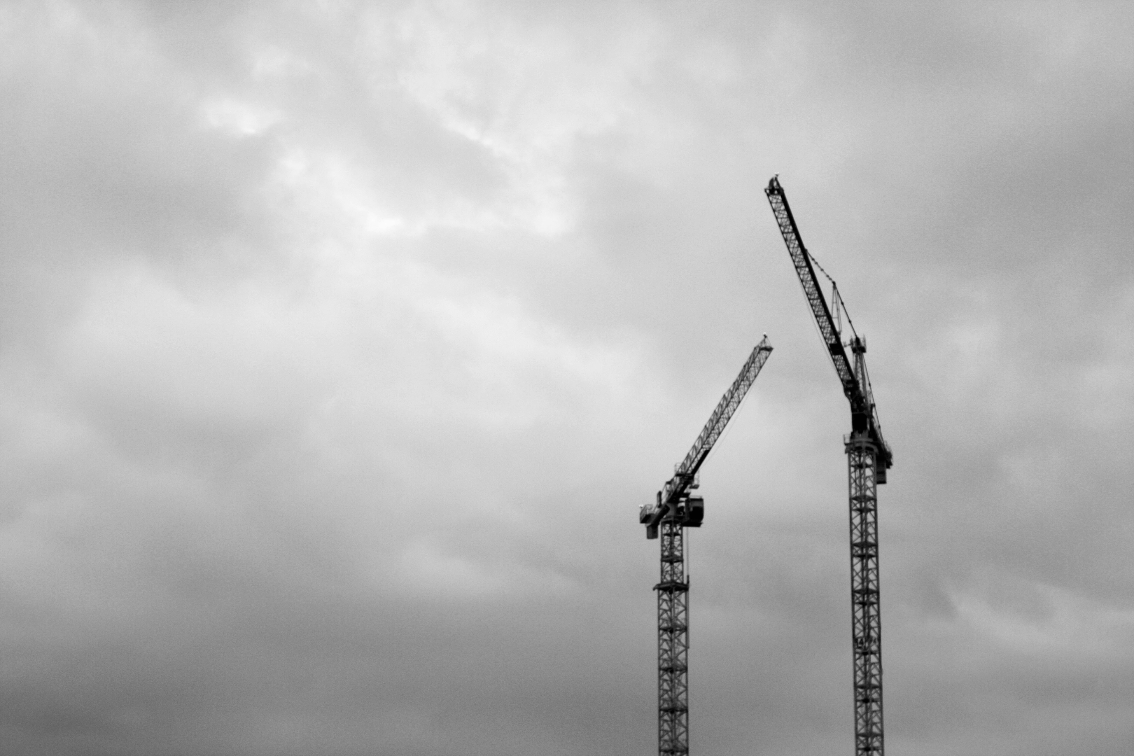 Photo by lifelivedinmono