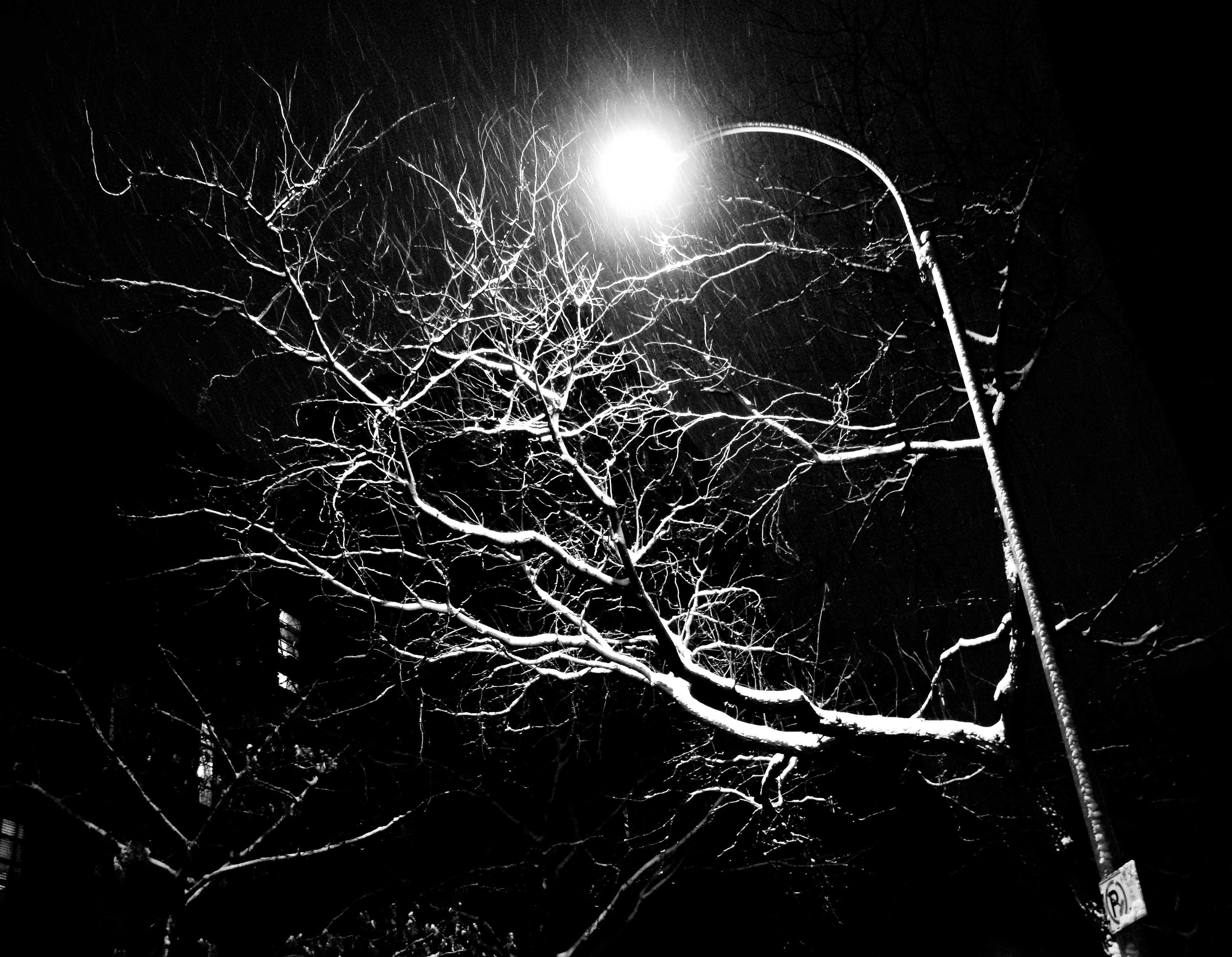 Photo by lifelivedinmono