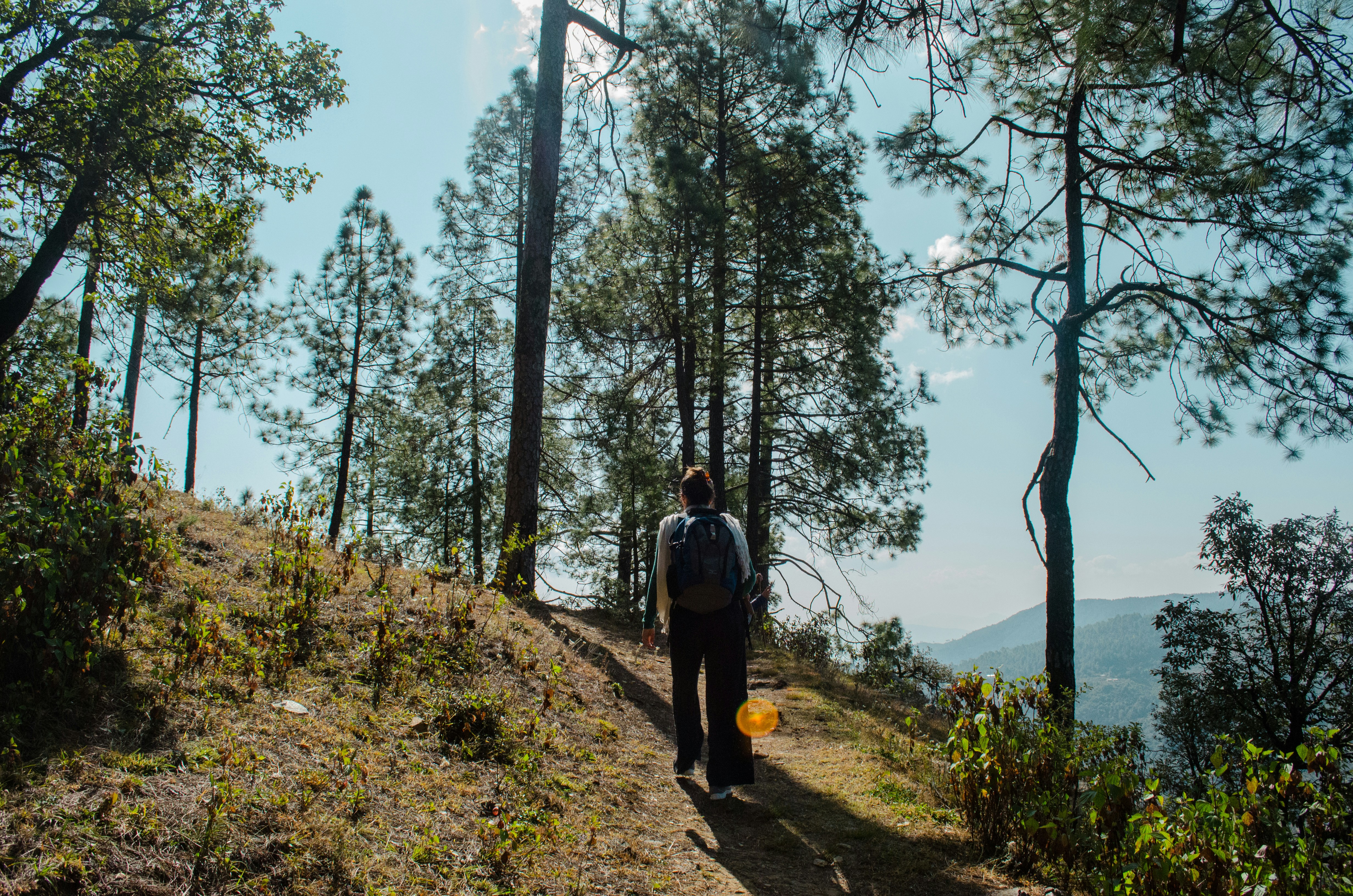 a man walking on a trail in the woods