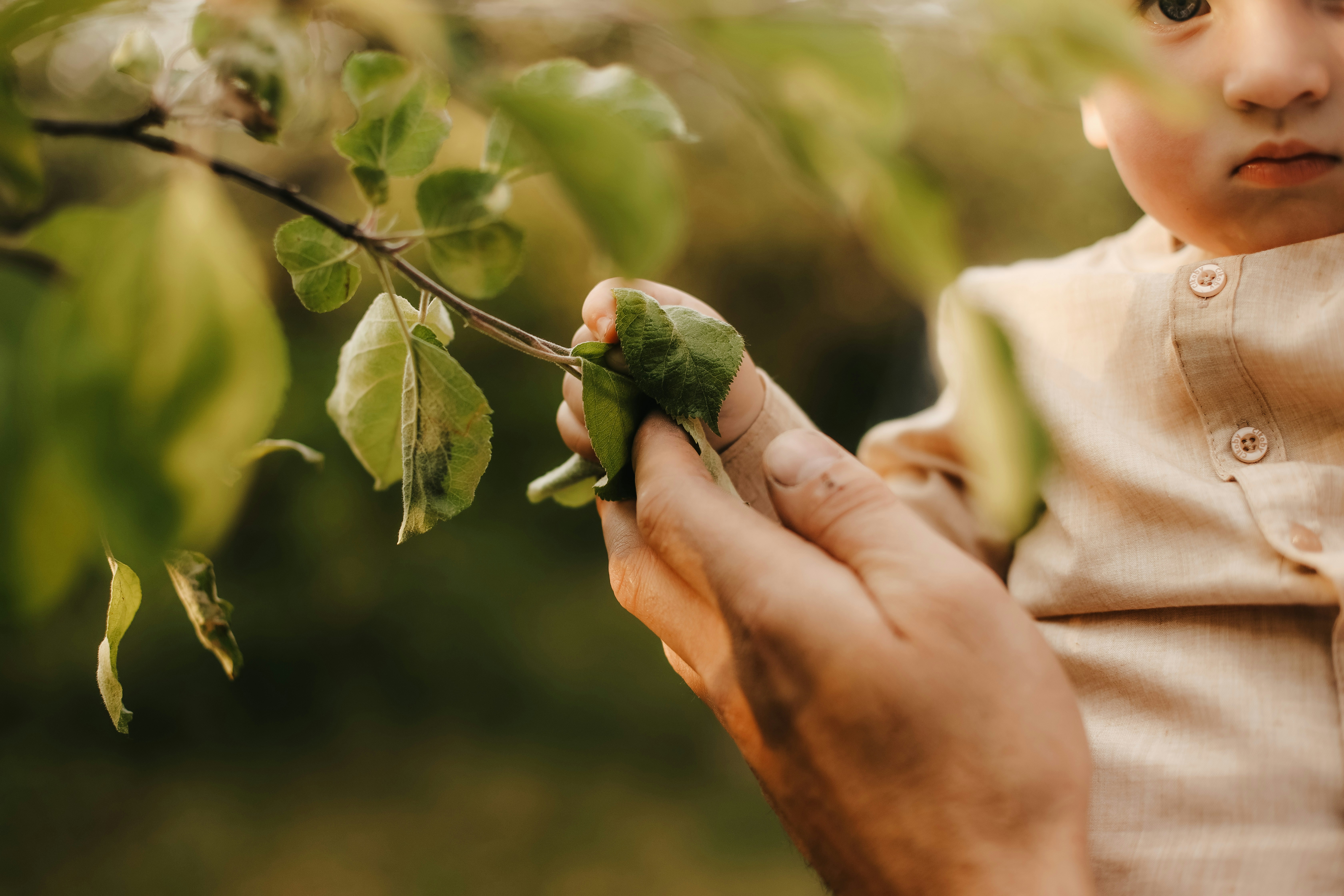 Photo by whynotnatali