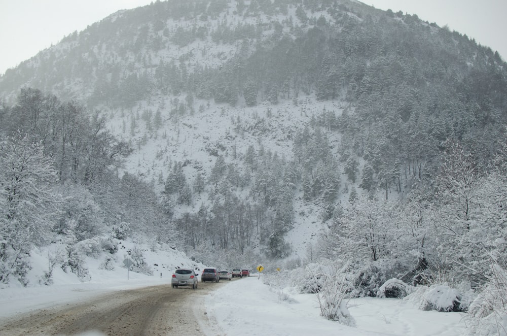 a road with snow on the side and trees on the side