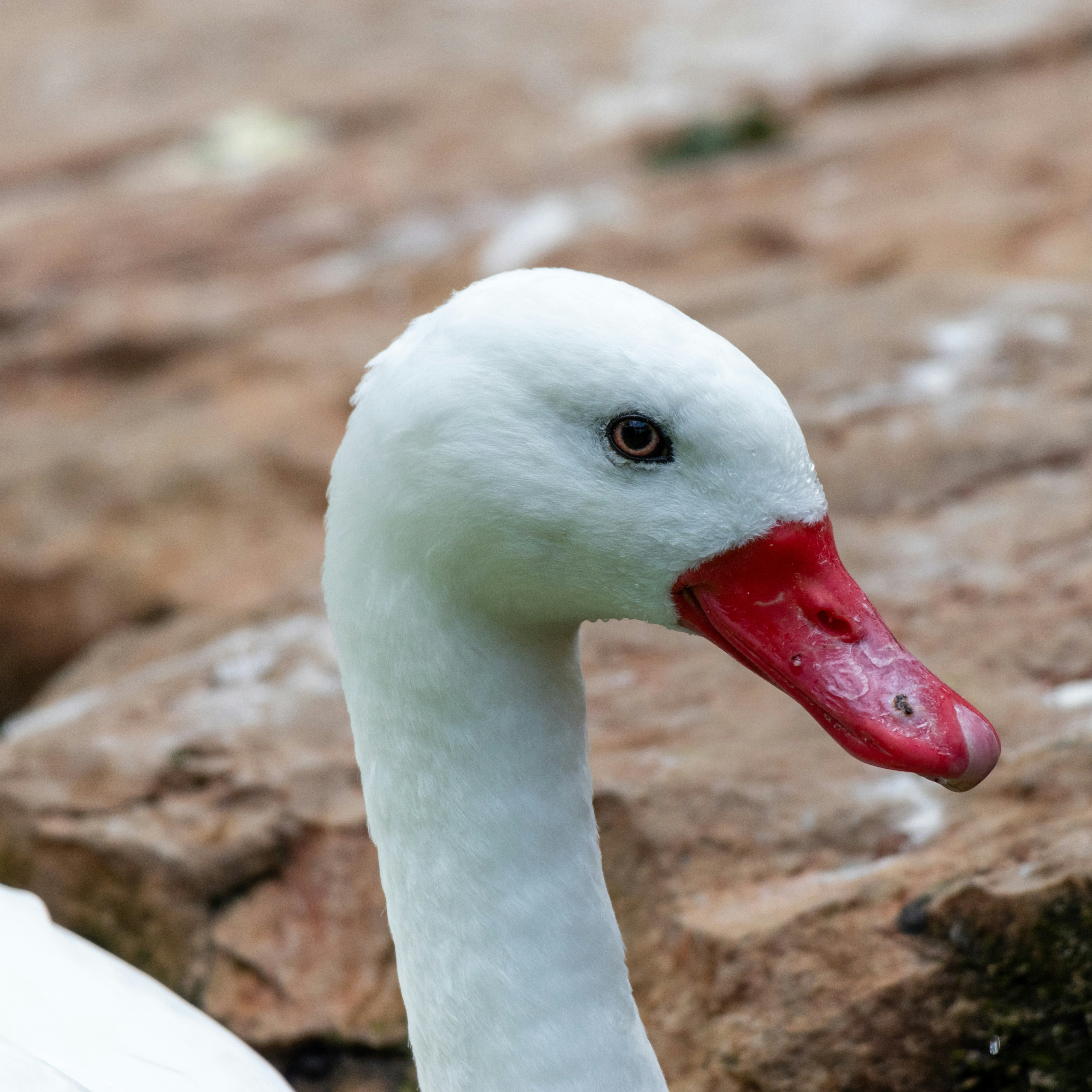 Photo by matthieur68