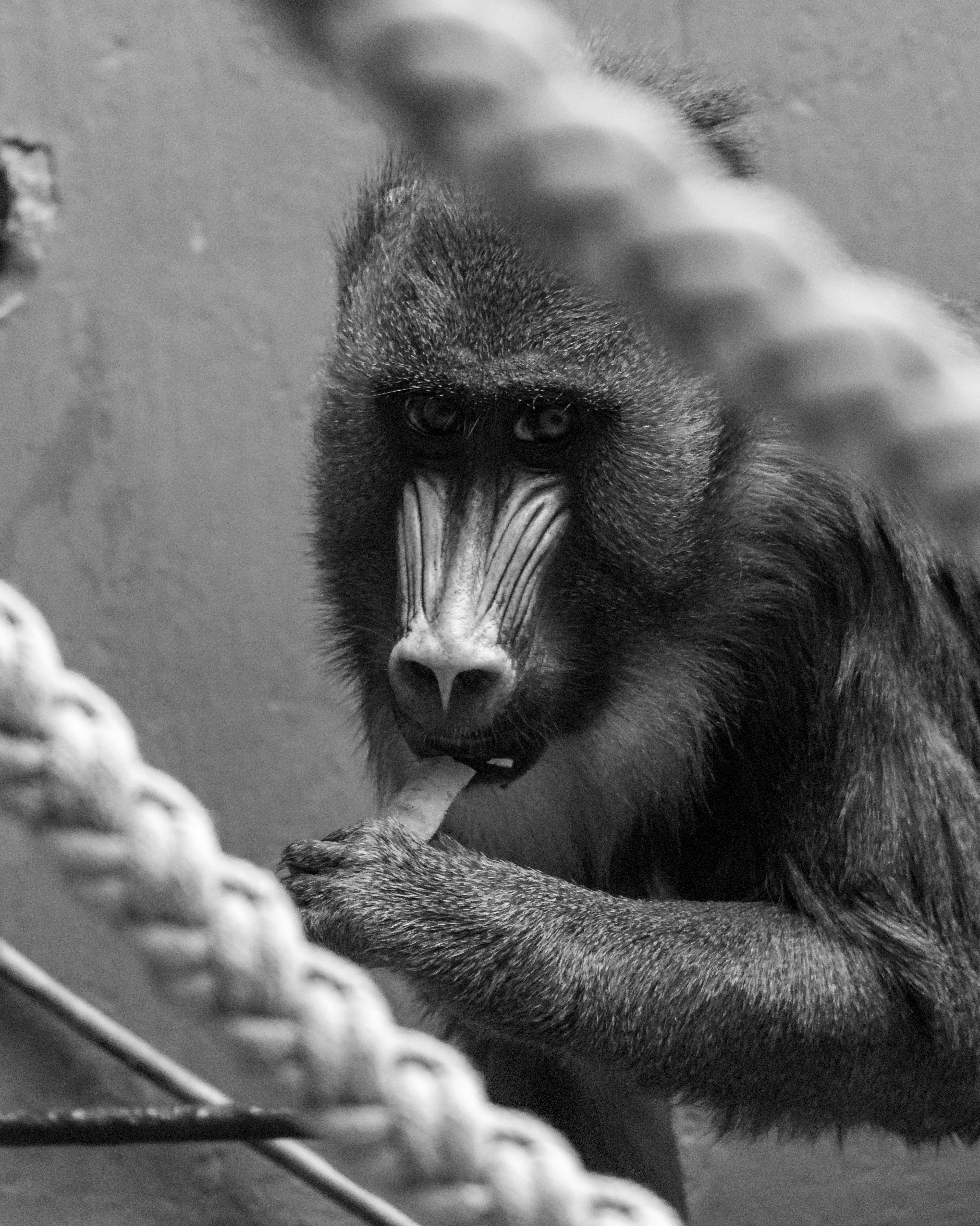 Photo by matthieur68