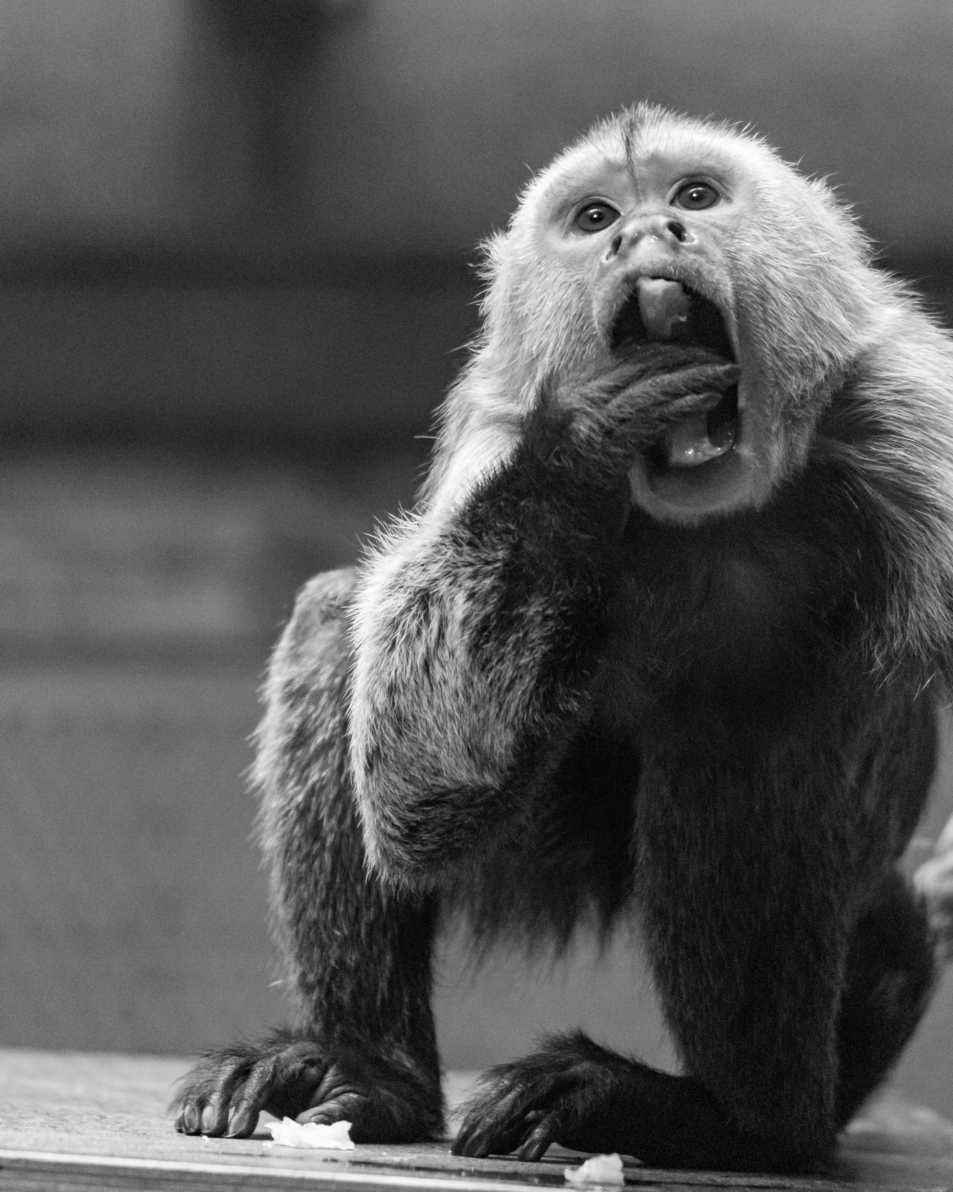 Photo by matthieur68