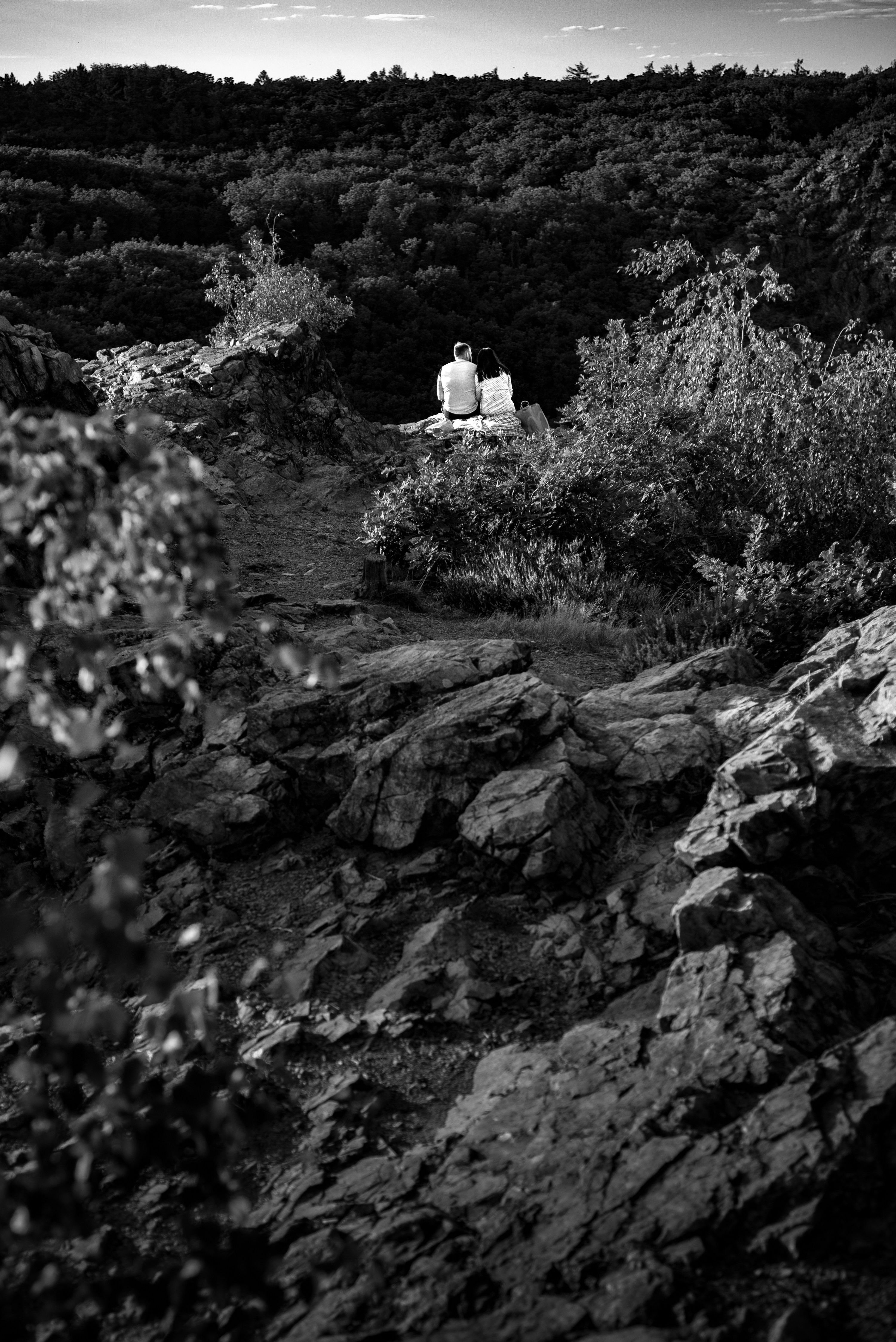 Photo by mikhail_mamaev