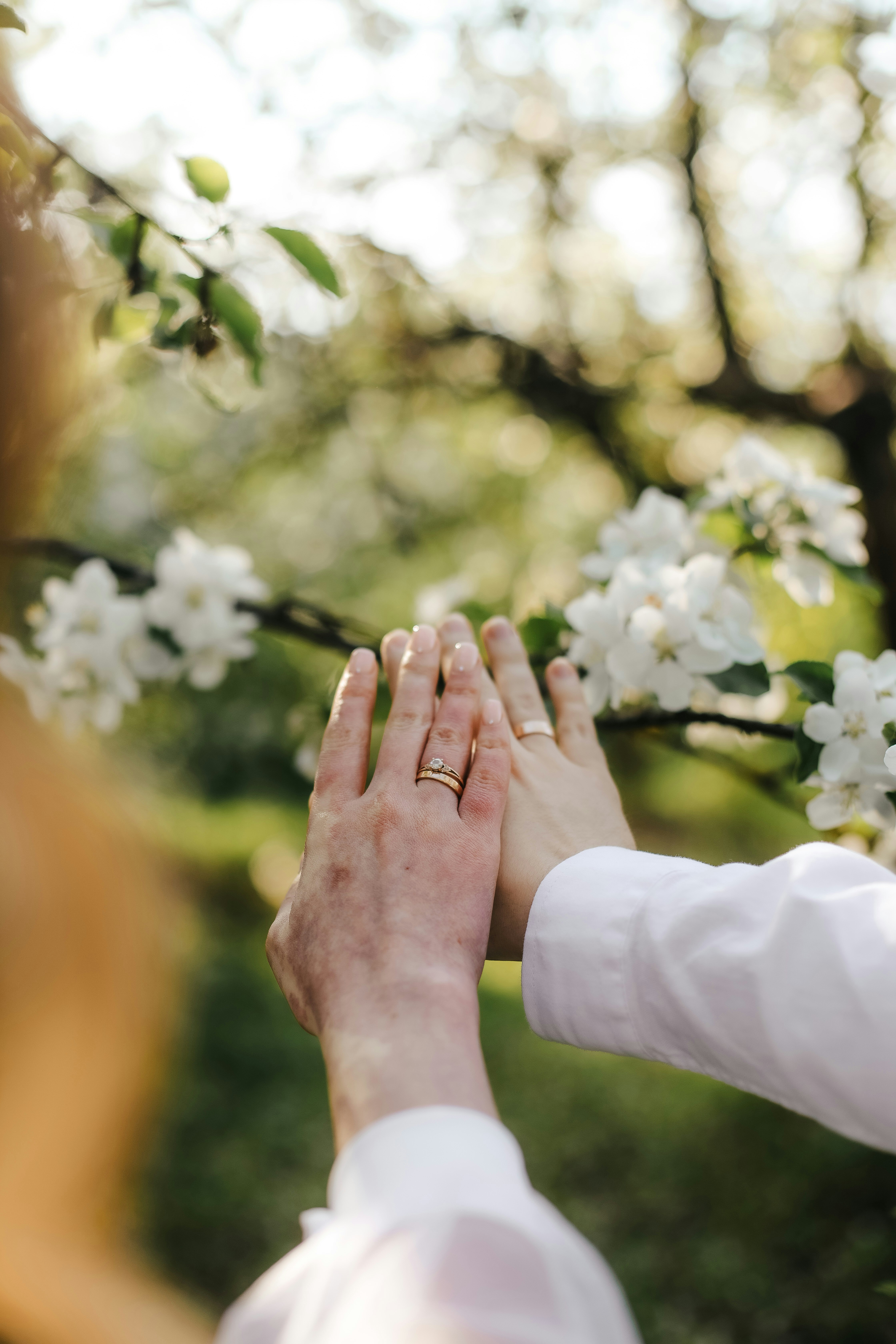 Photo by whynotnatali