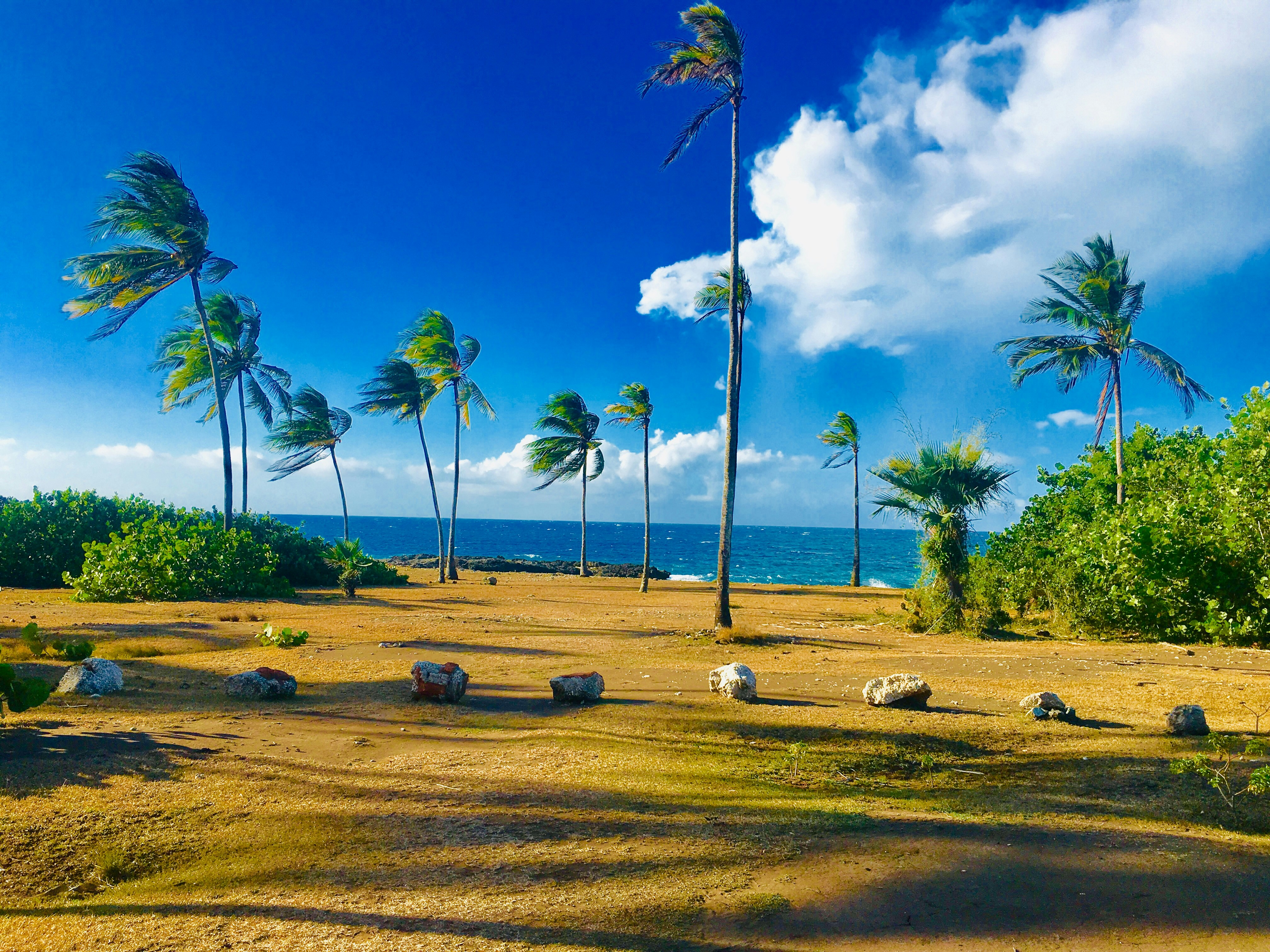 HOG destination photo