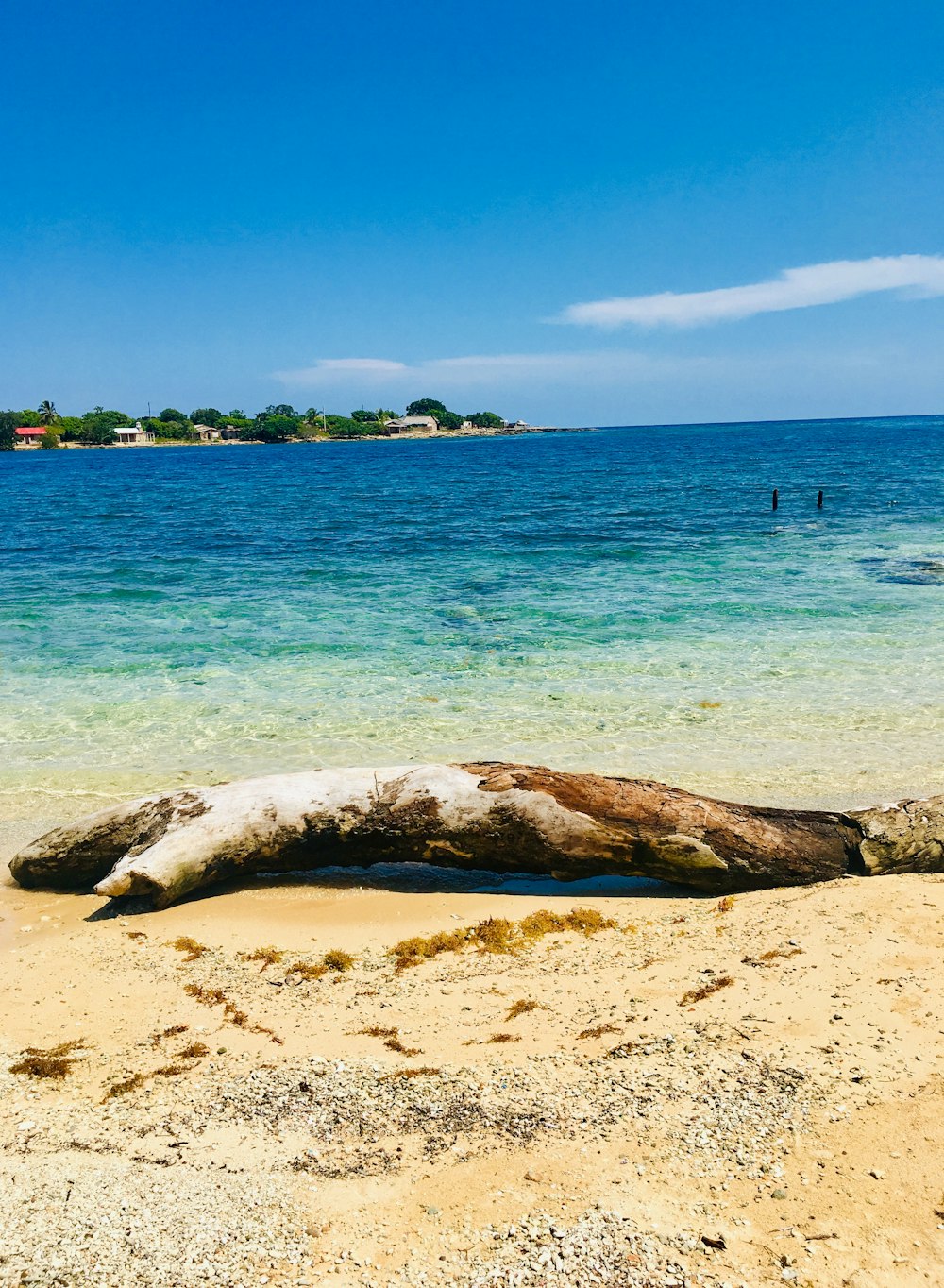 Una playa con una roca en el agua