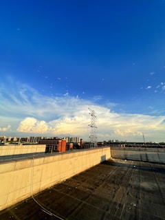 A rooftop view of the city skyline.