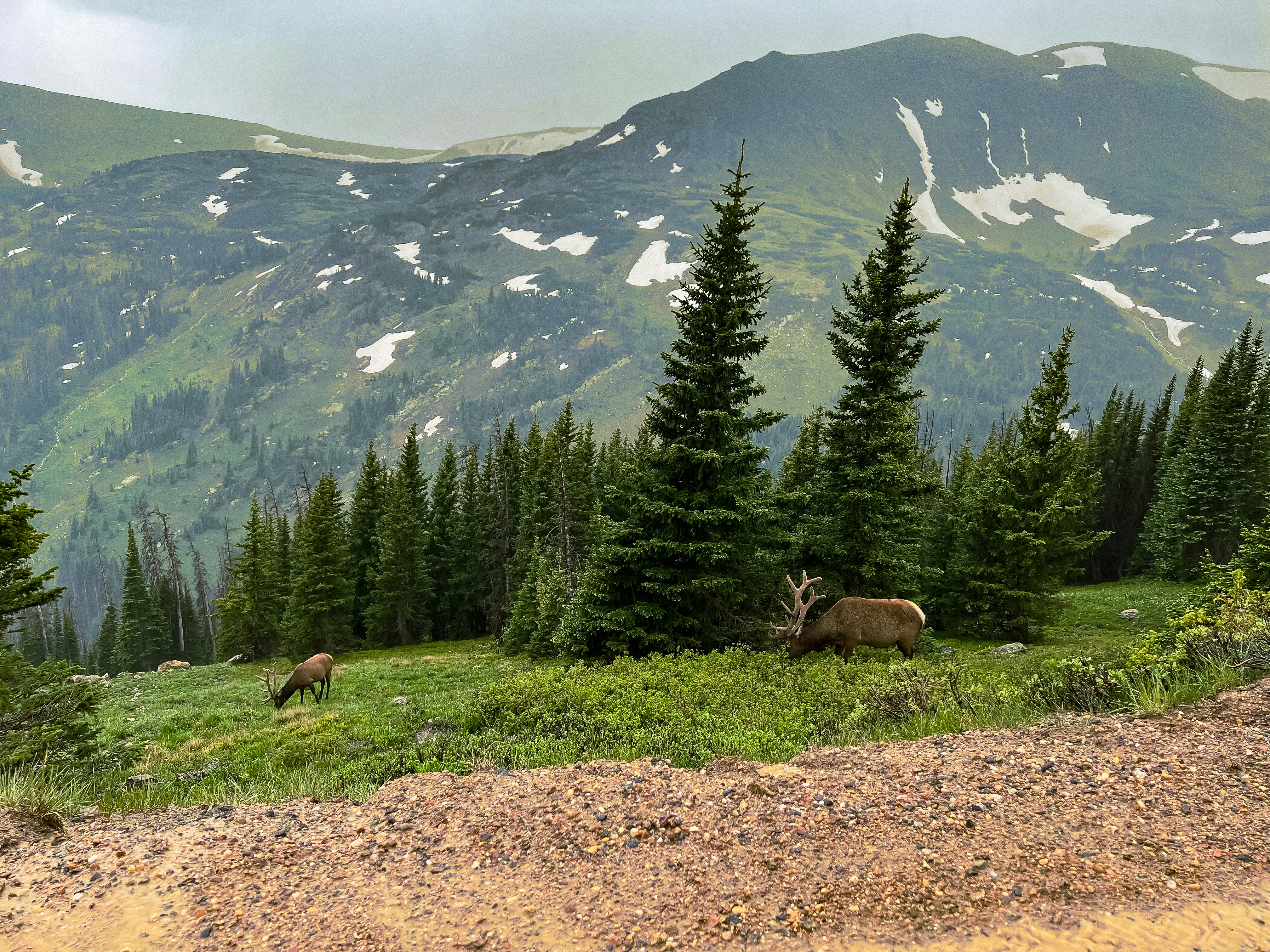 Photo by rajannepal048