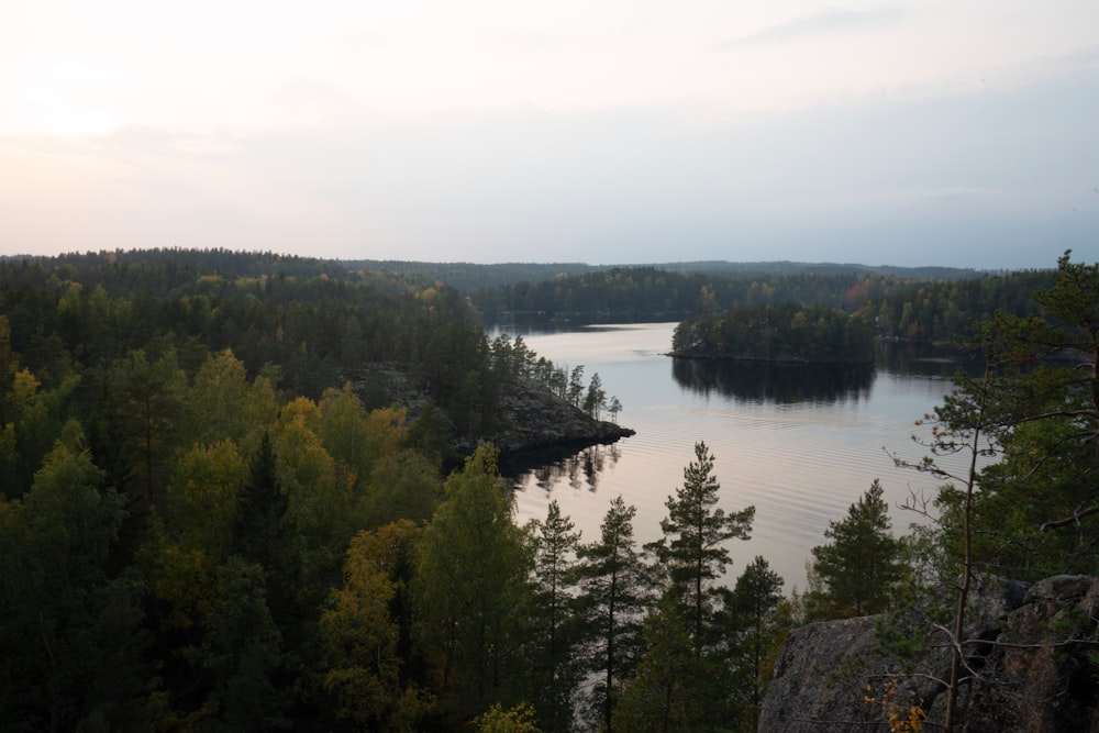 a river surrounded by trees