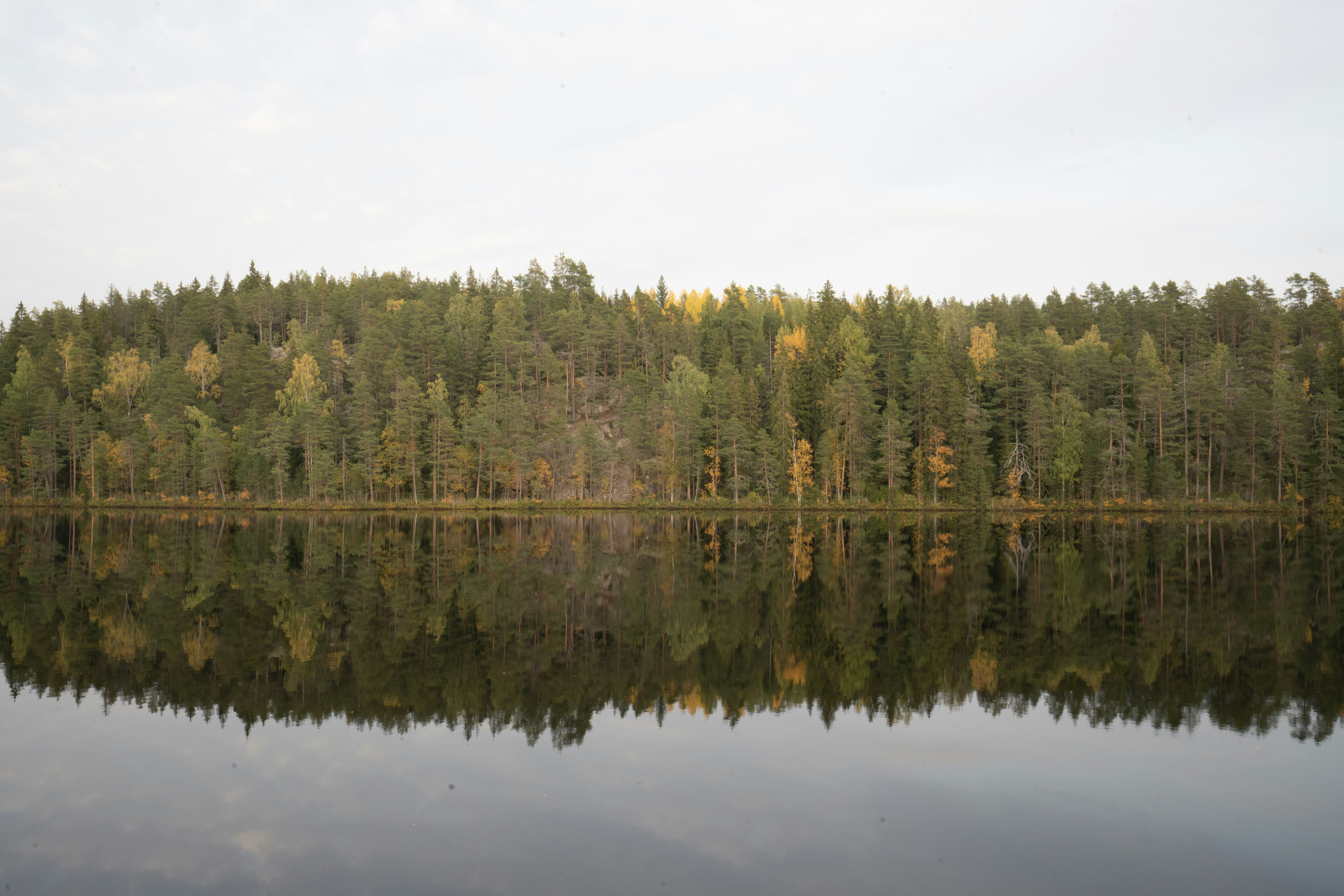 Photo by datingjungle