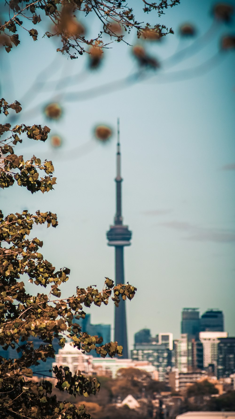 a tall tower in a city