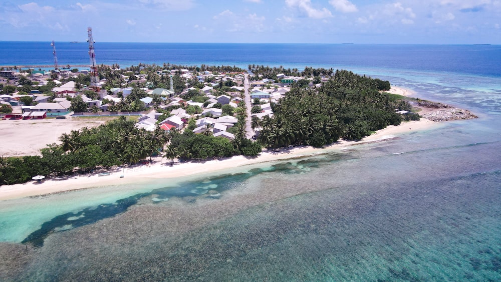 a beach with houses and trees