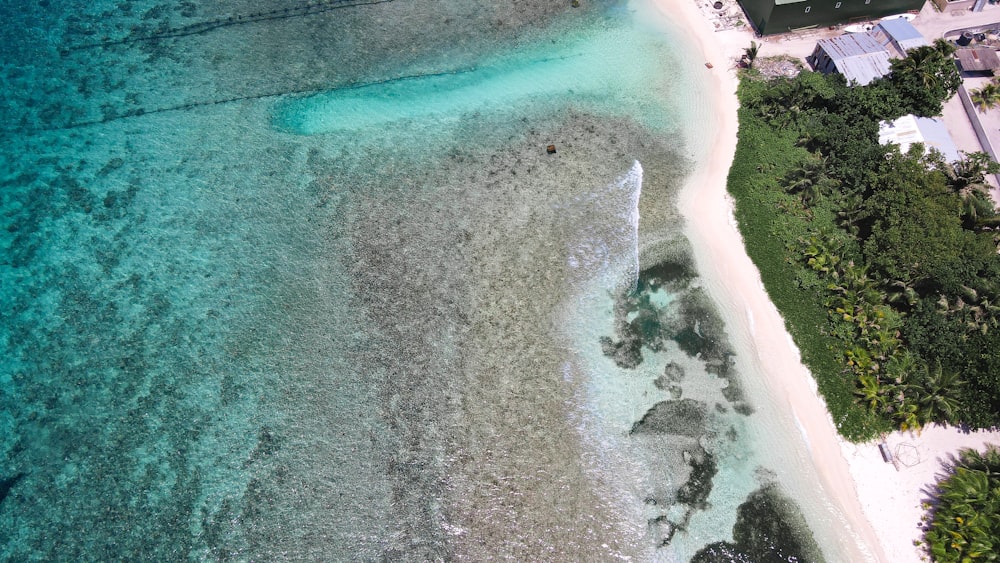 a beach with trees and buildings