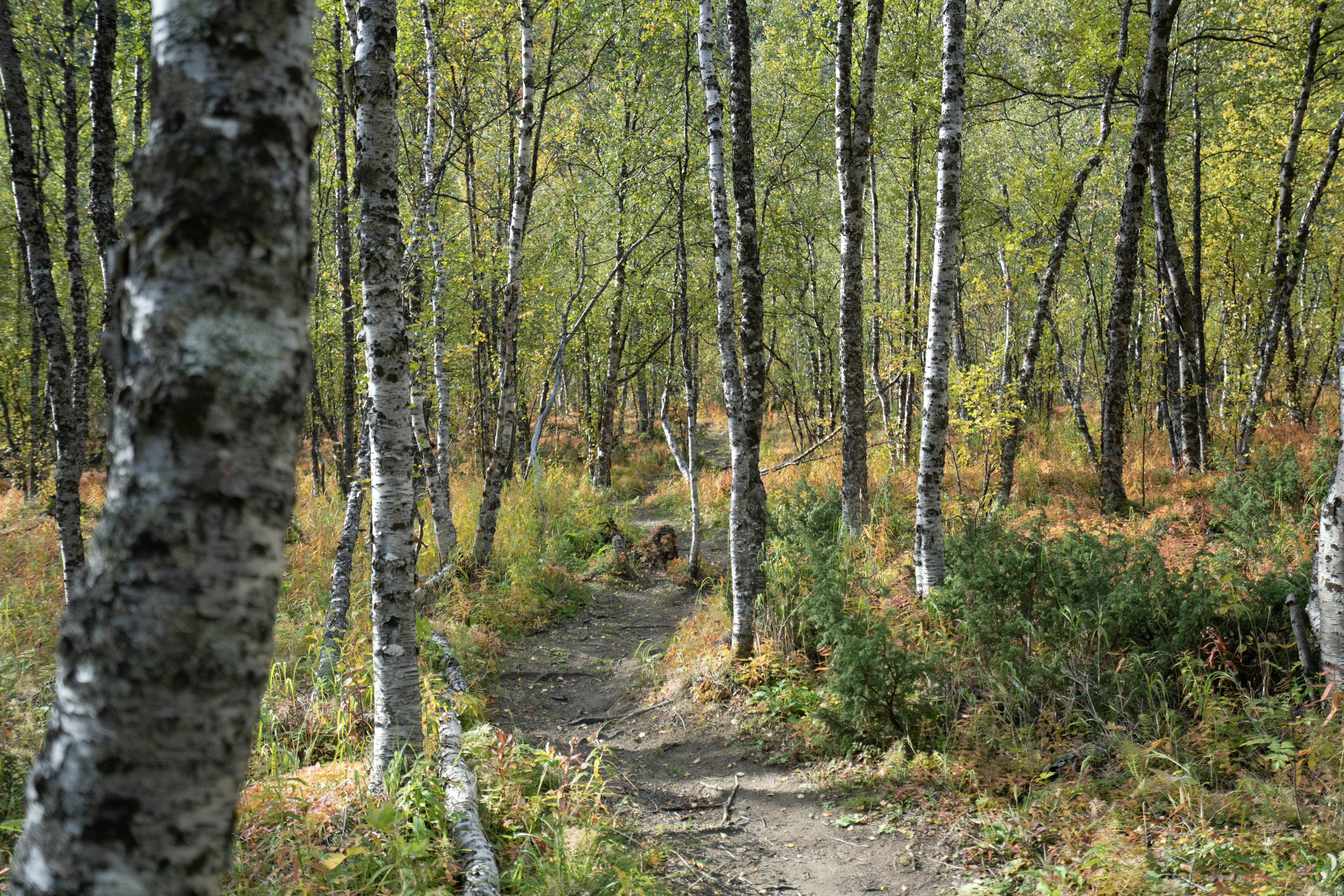 Photo by secrettravelguide