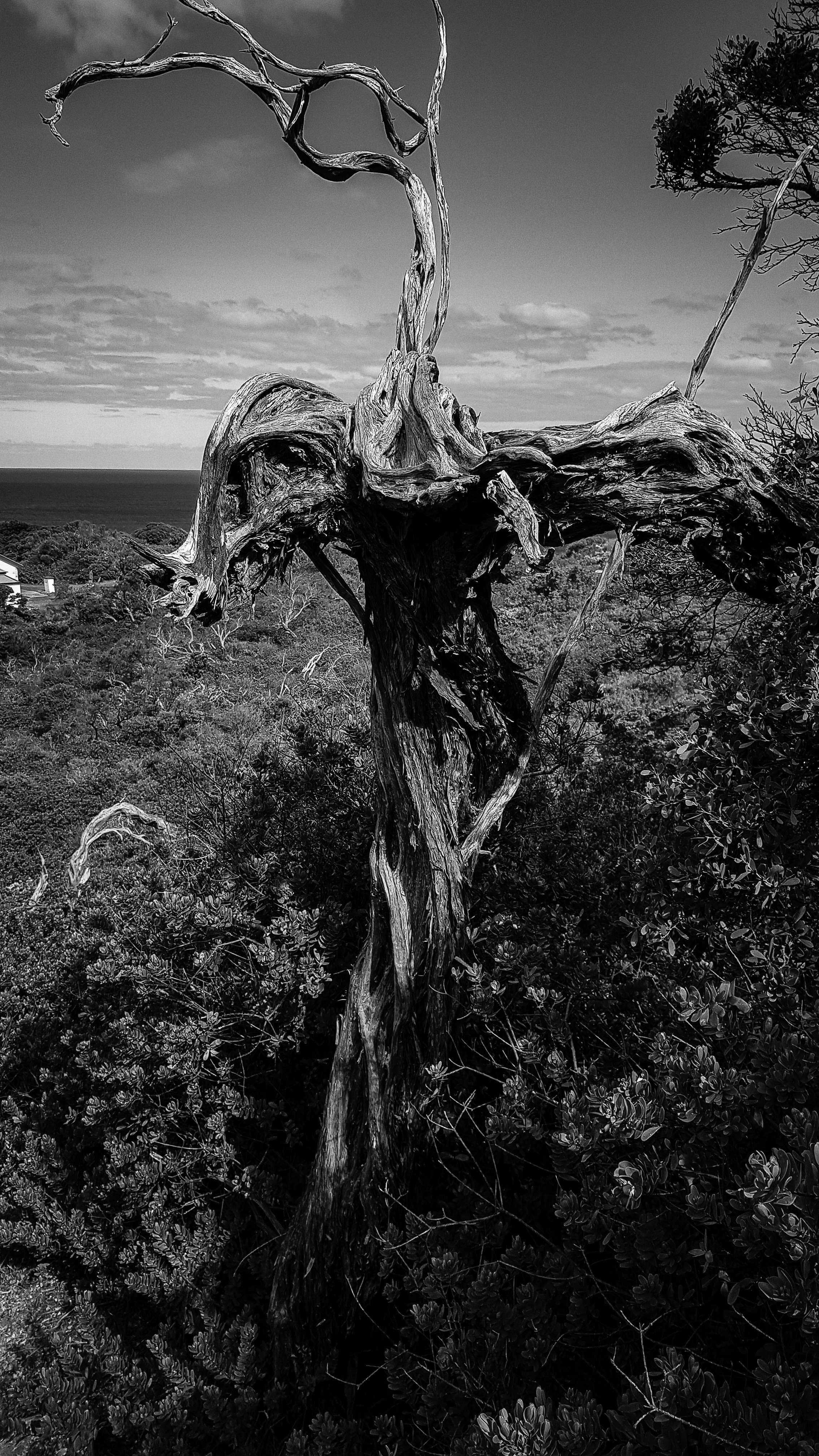 Photo by 11x11