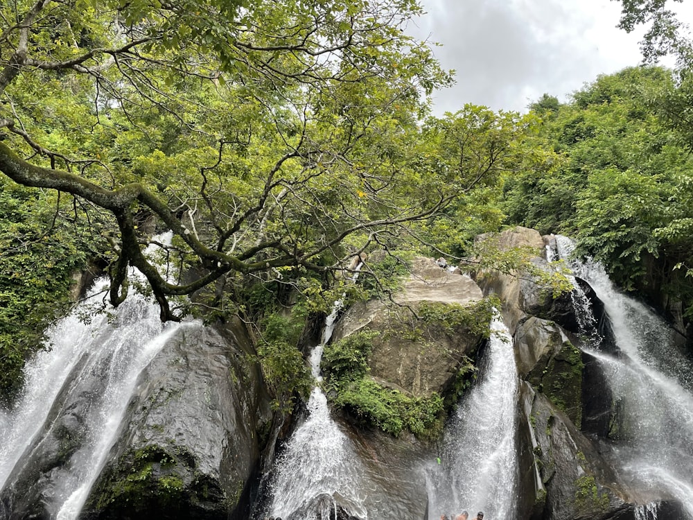 Ein Wasserfall mit Bäumen drumherum