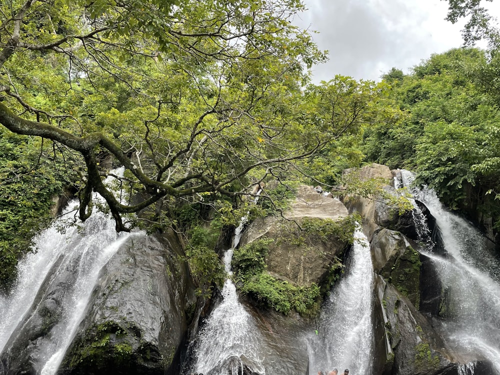 a waterfall with trees around it