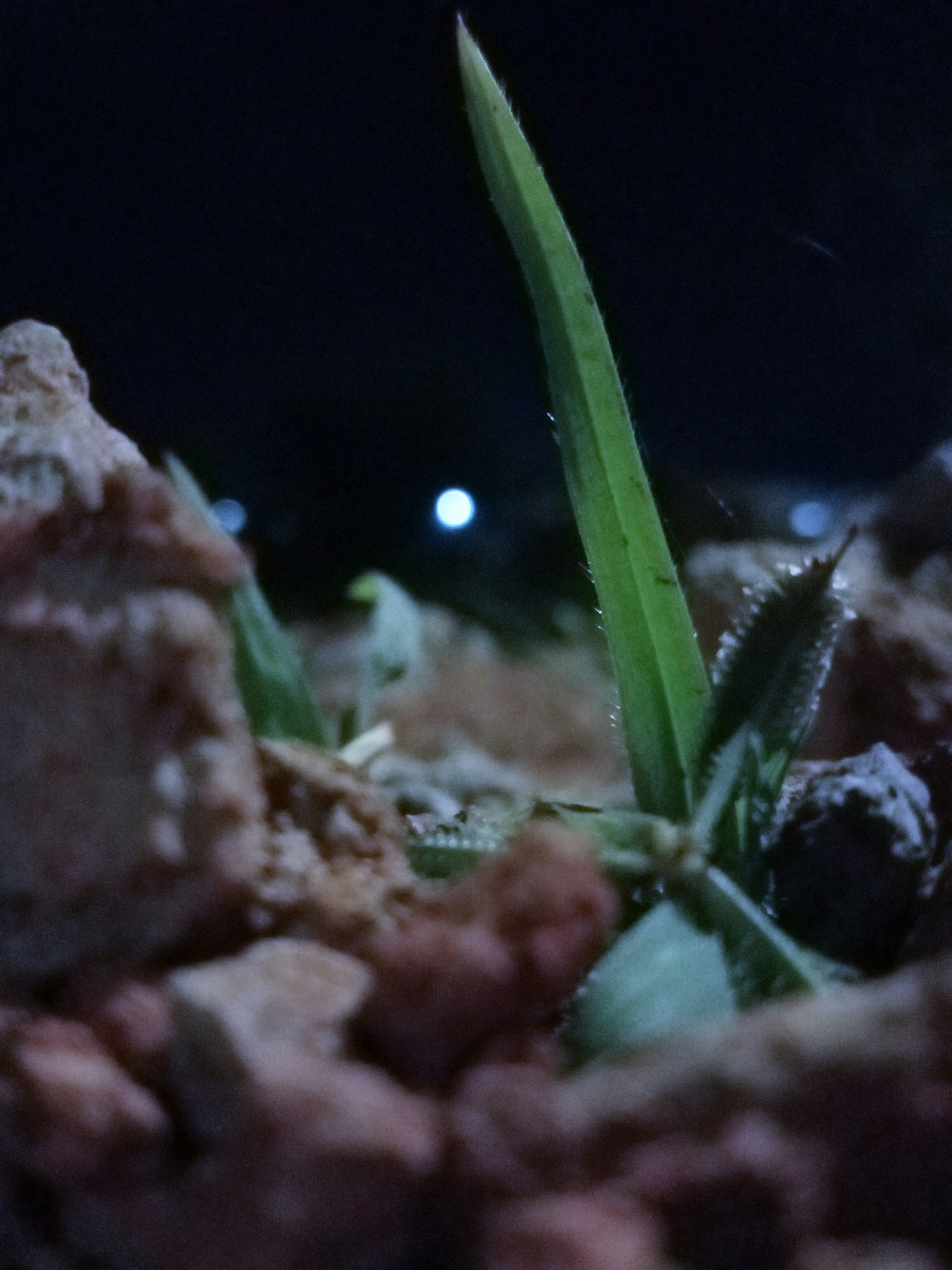 Nighttime Activity (image credits: unsplash)