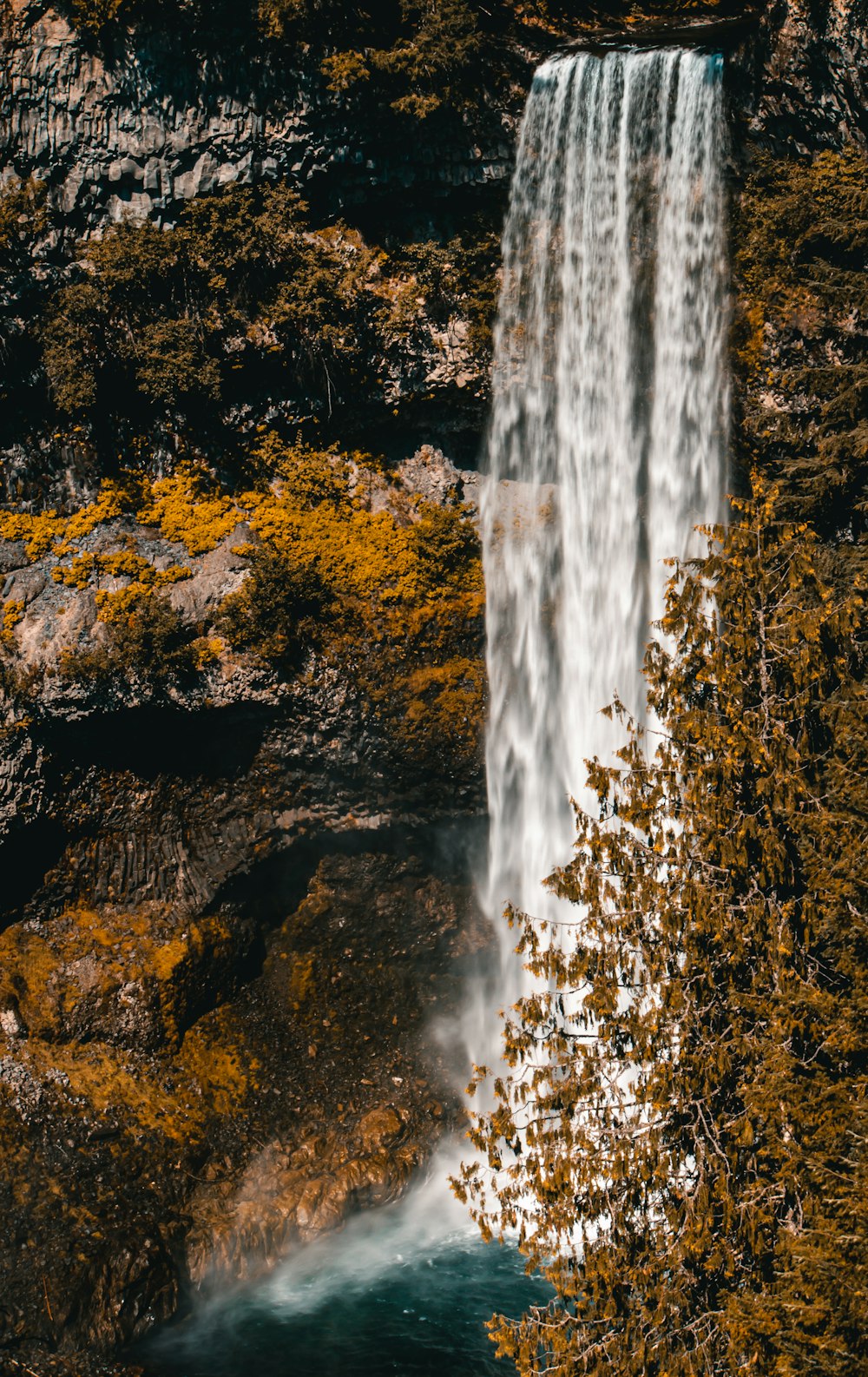 a waterfall with yellow leaves