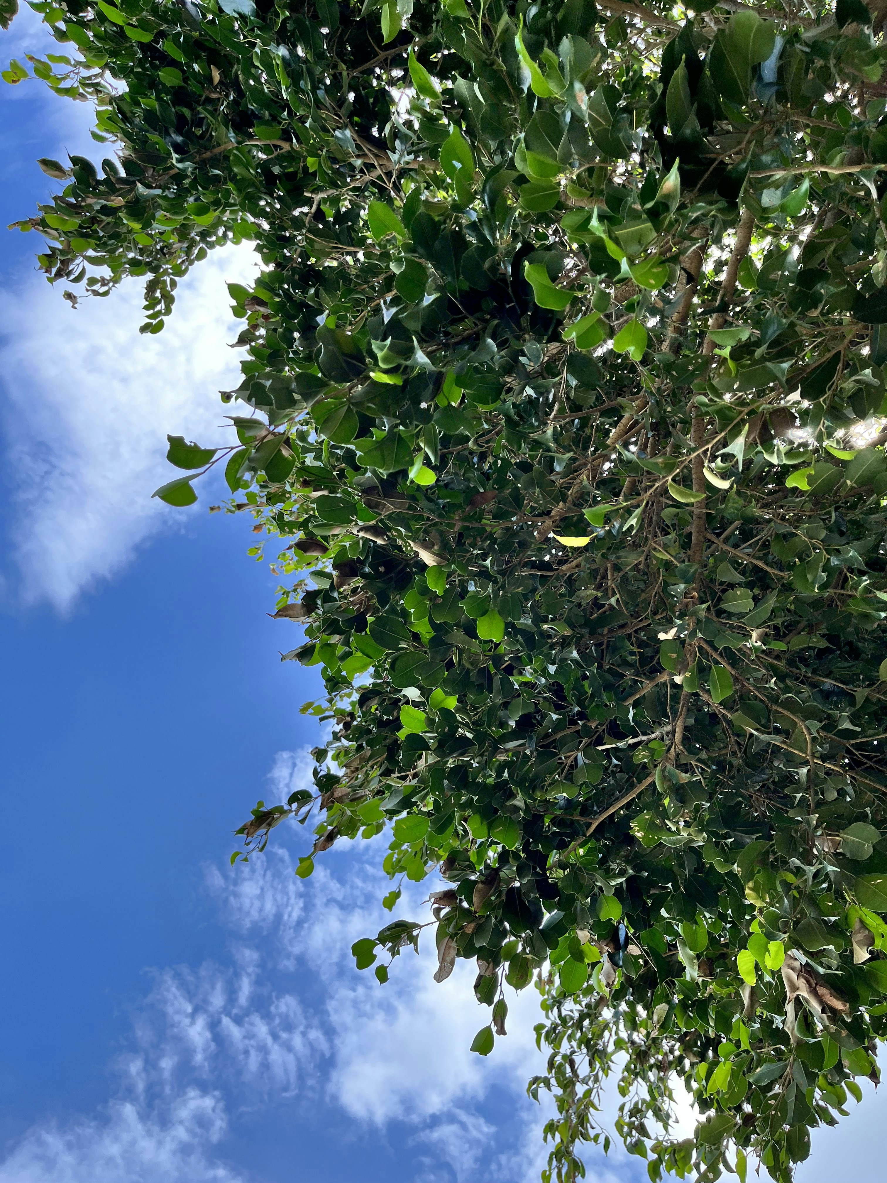 Photo by atul_rajput