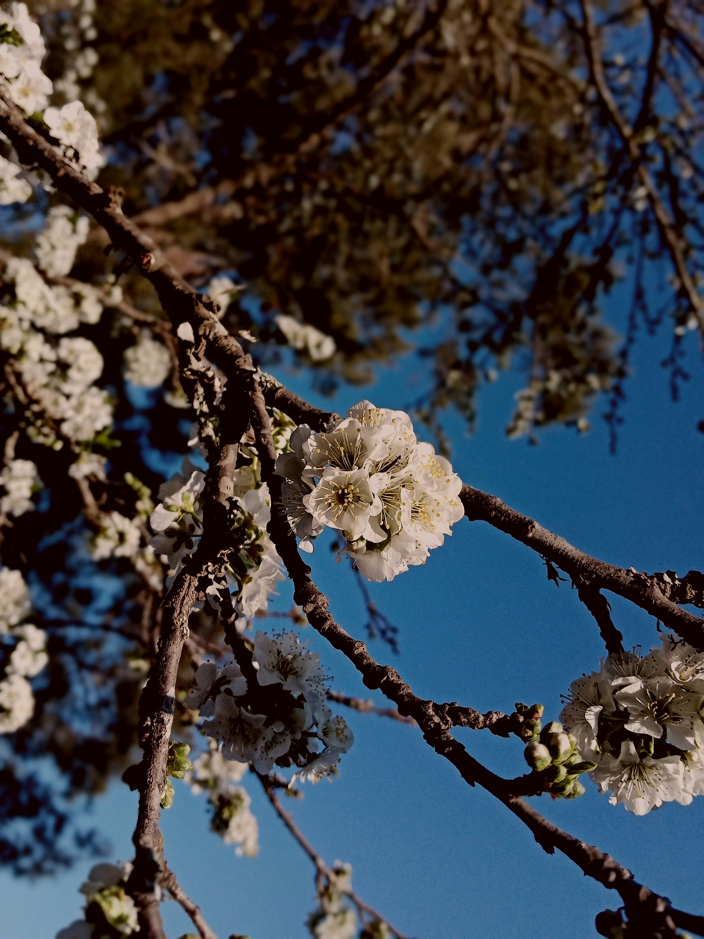 Photo by thembinkosii